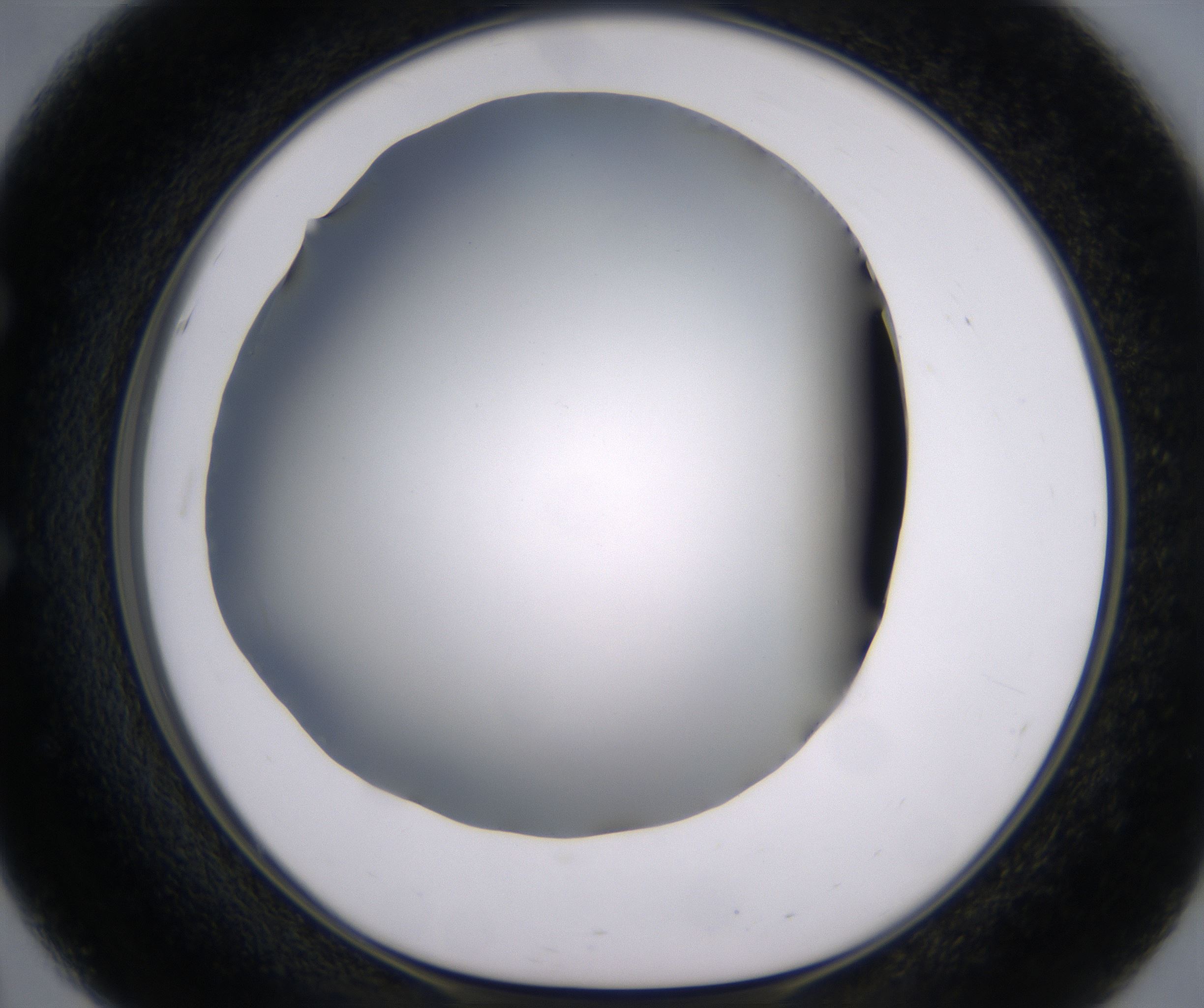 E3_HighResolution_Clear_1.jpg