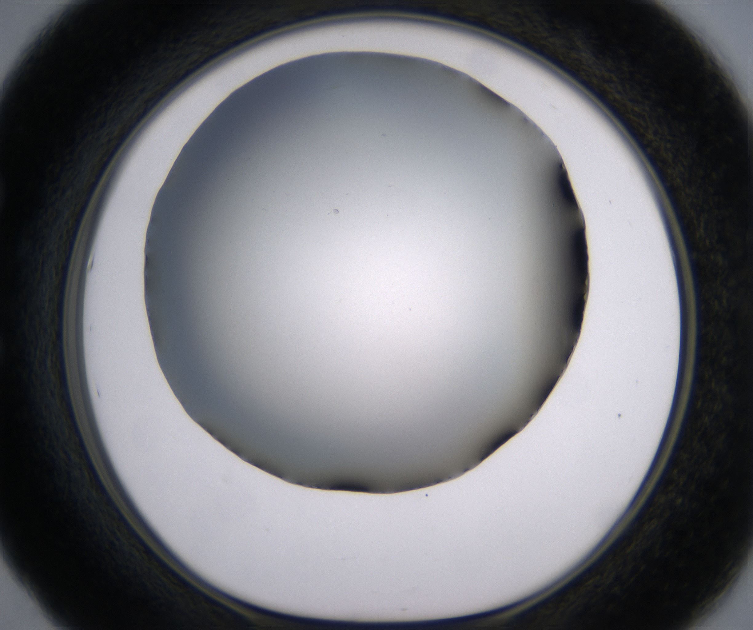 E5_HighResolution_Clear_1.jpg
