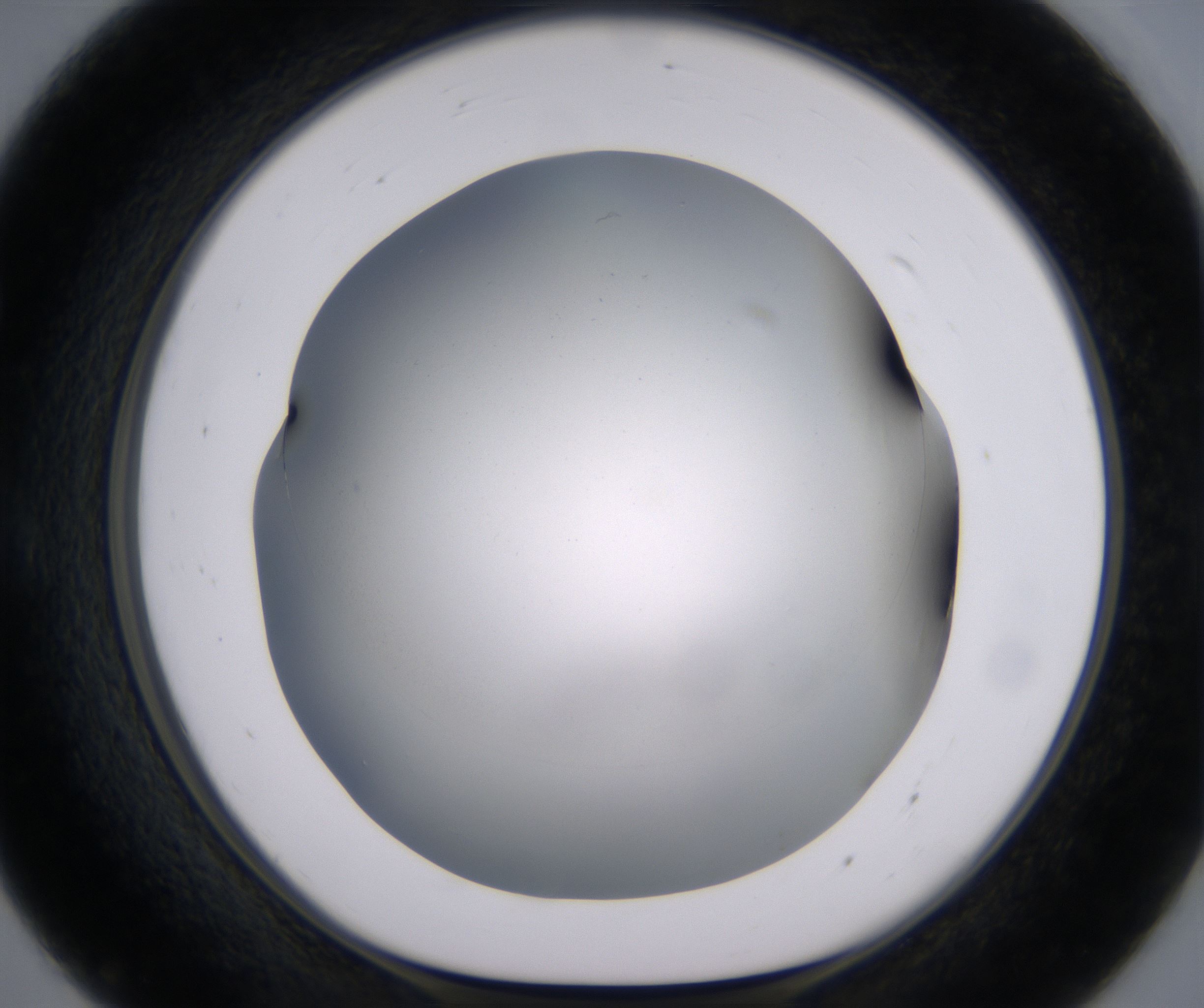 E7_HighResolution_Clear_1.jpg