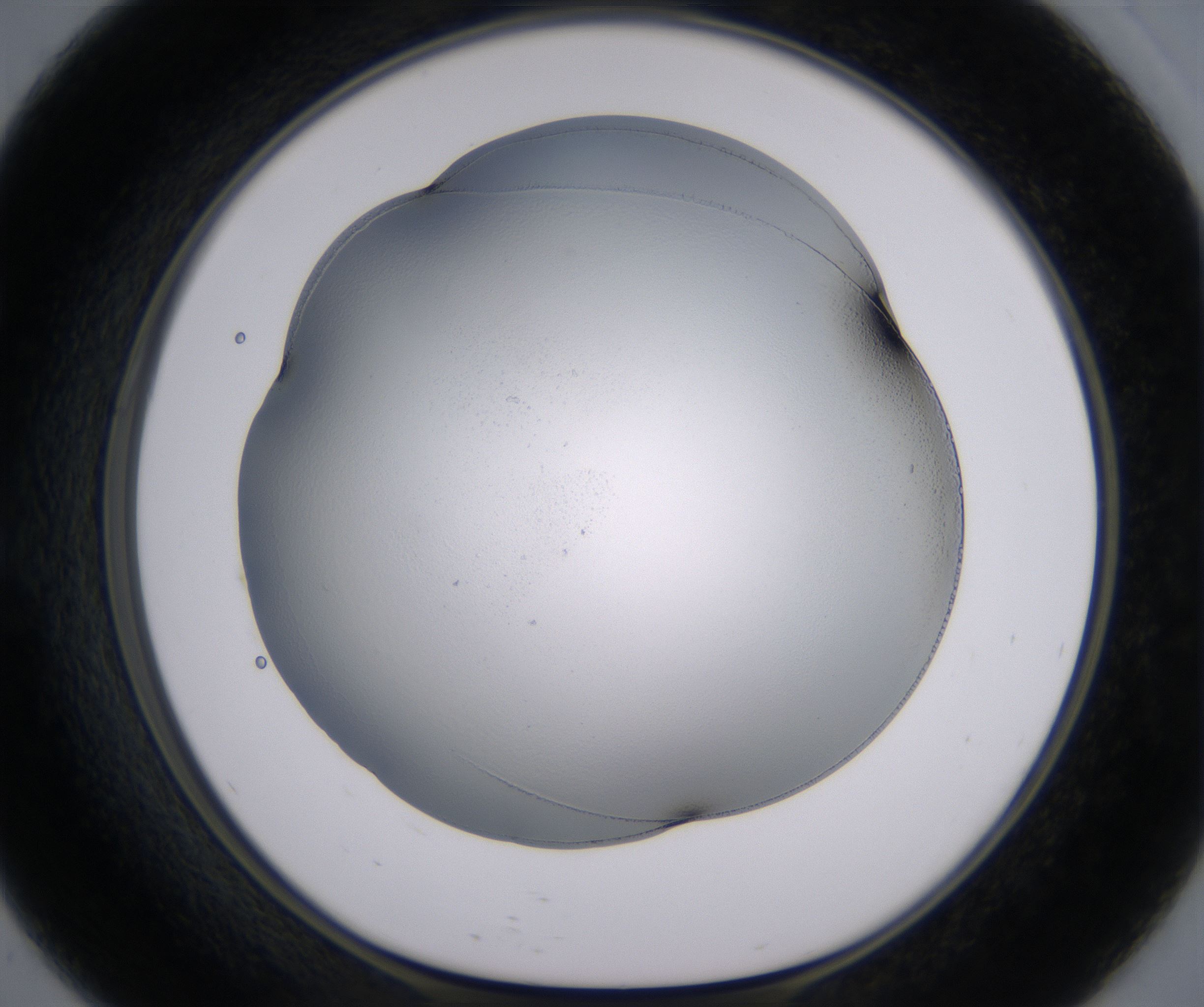 E9_HighResolution_Clear_1.jpg