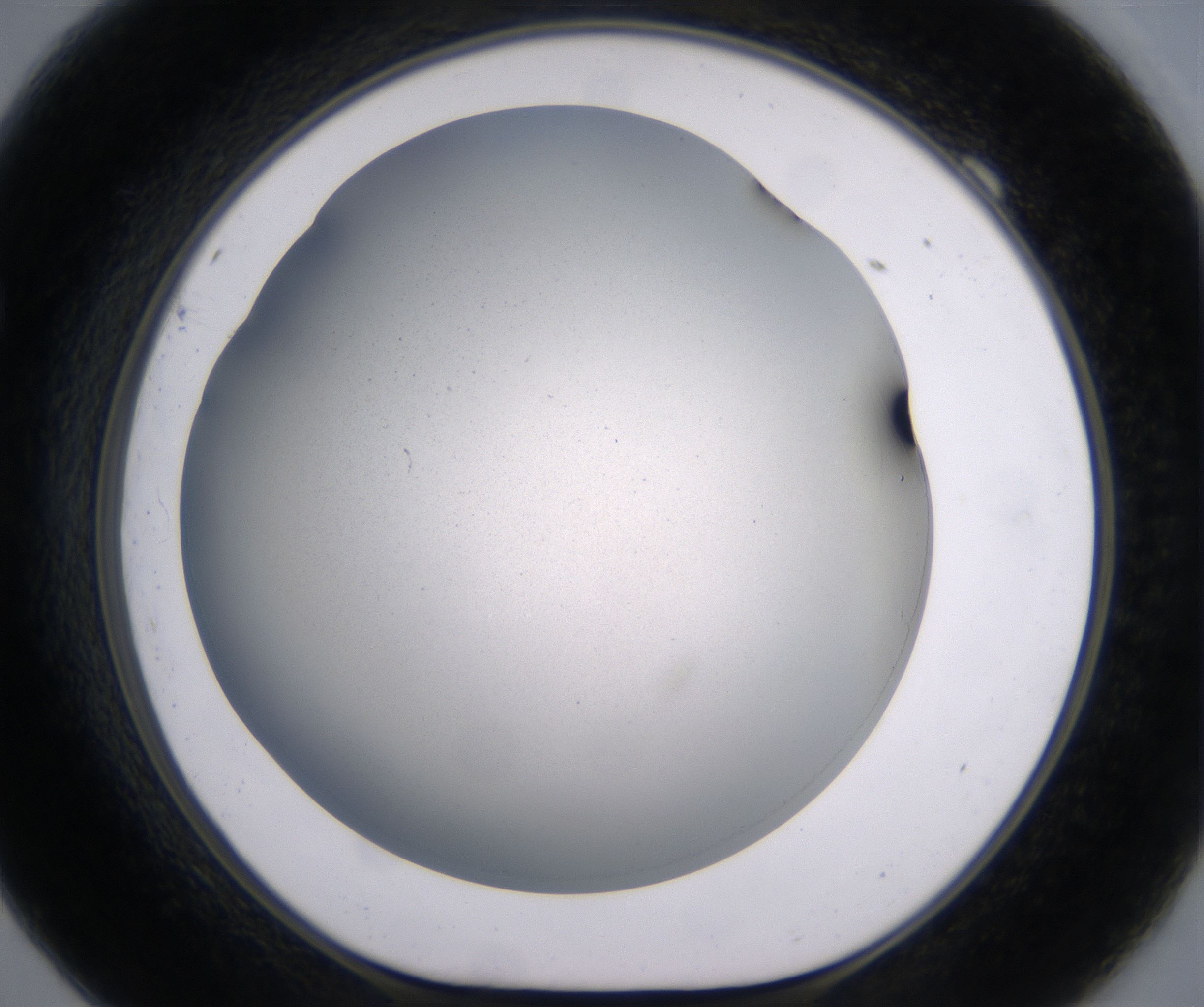 F9_HighResolution_Clear_1.jpg