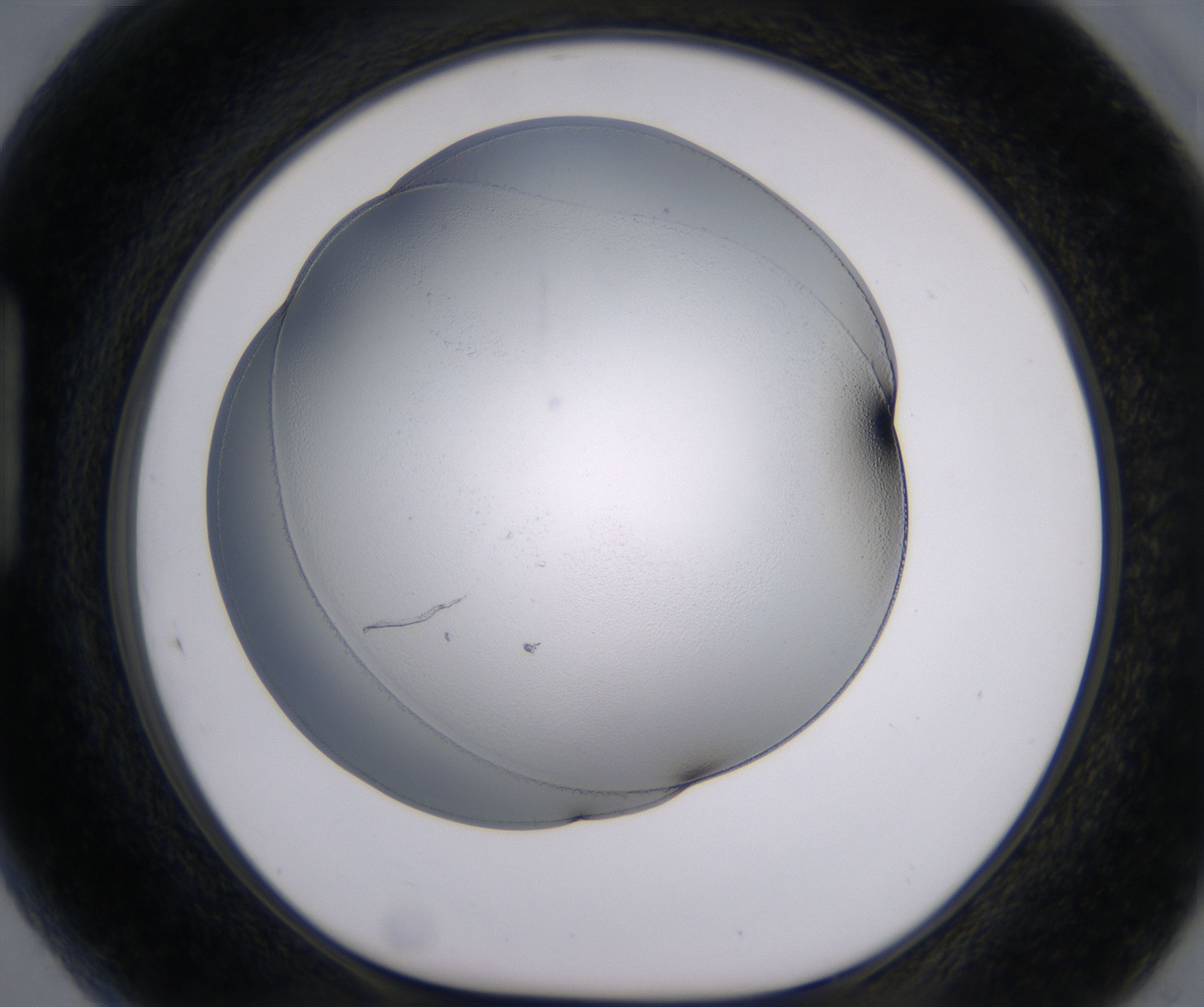H5_HighResolution_Clear_1.jpg