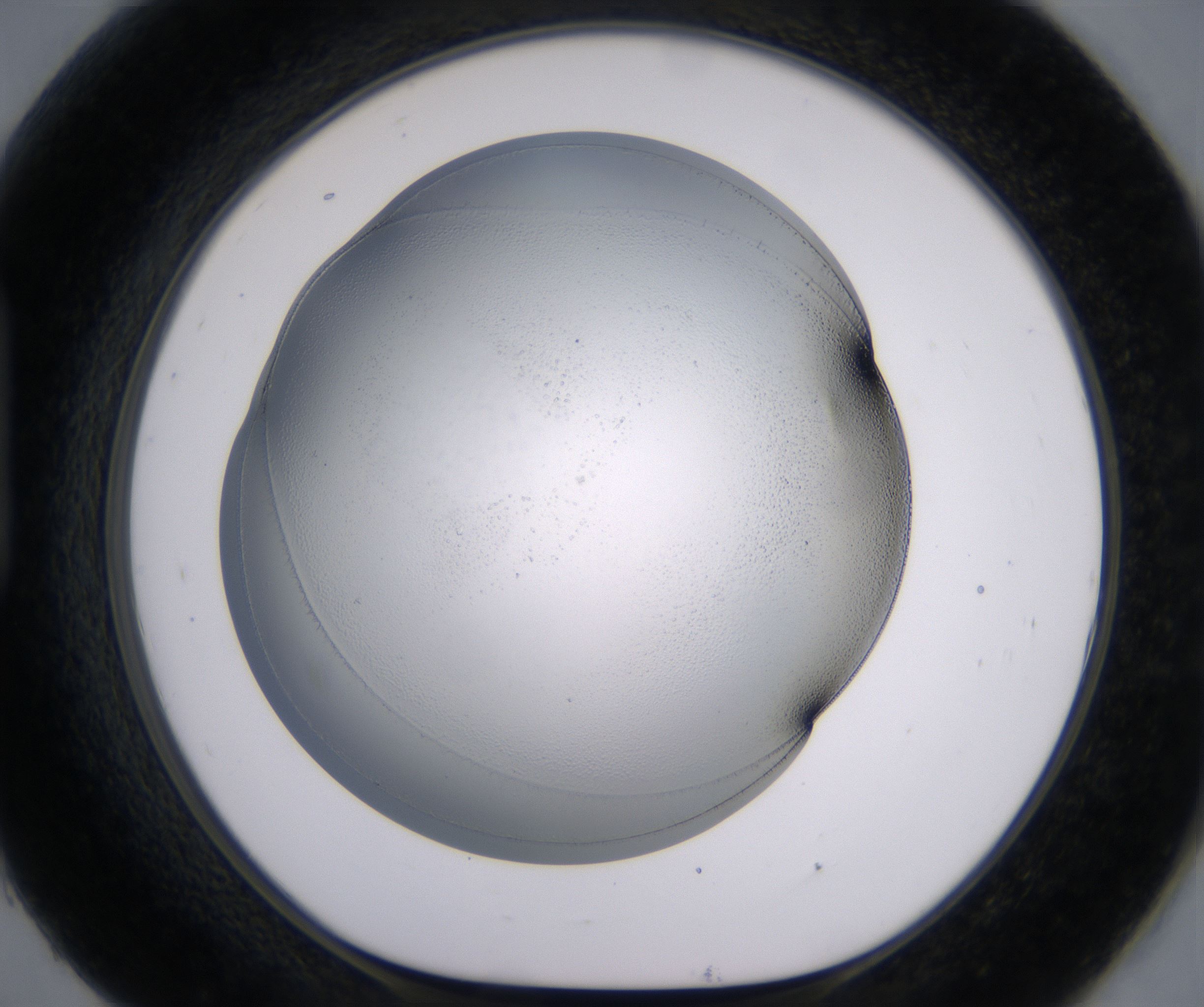 H9_HighResolution_Clear_1.jpg