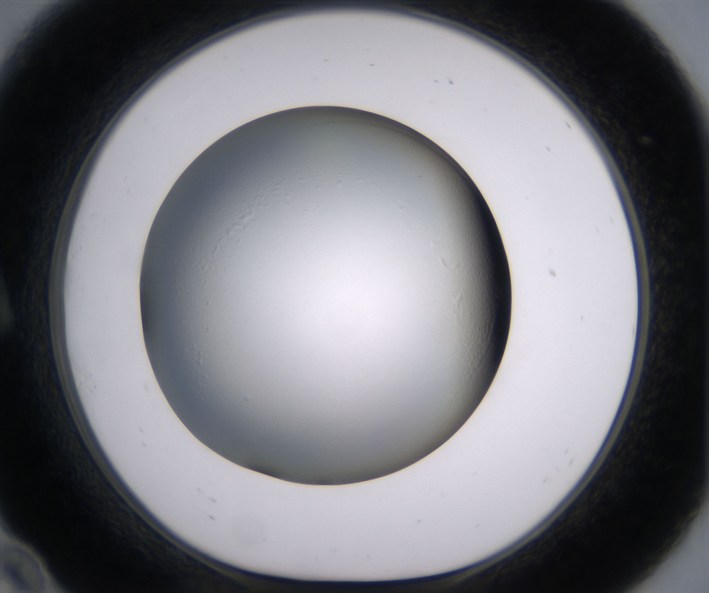 A10_HighResolution_Clear_1.jpg