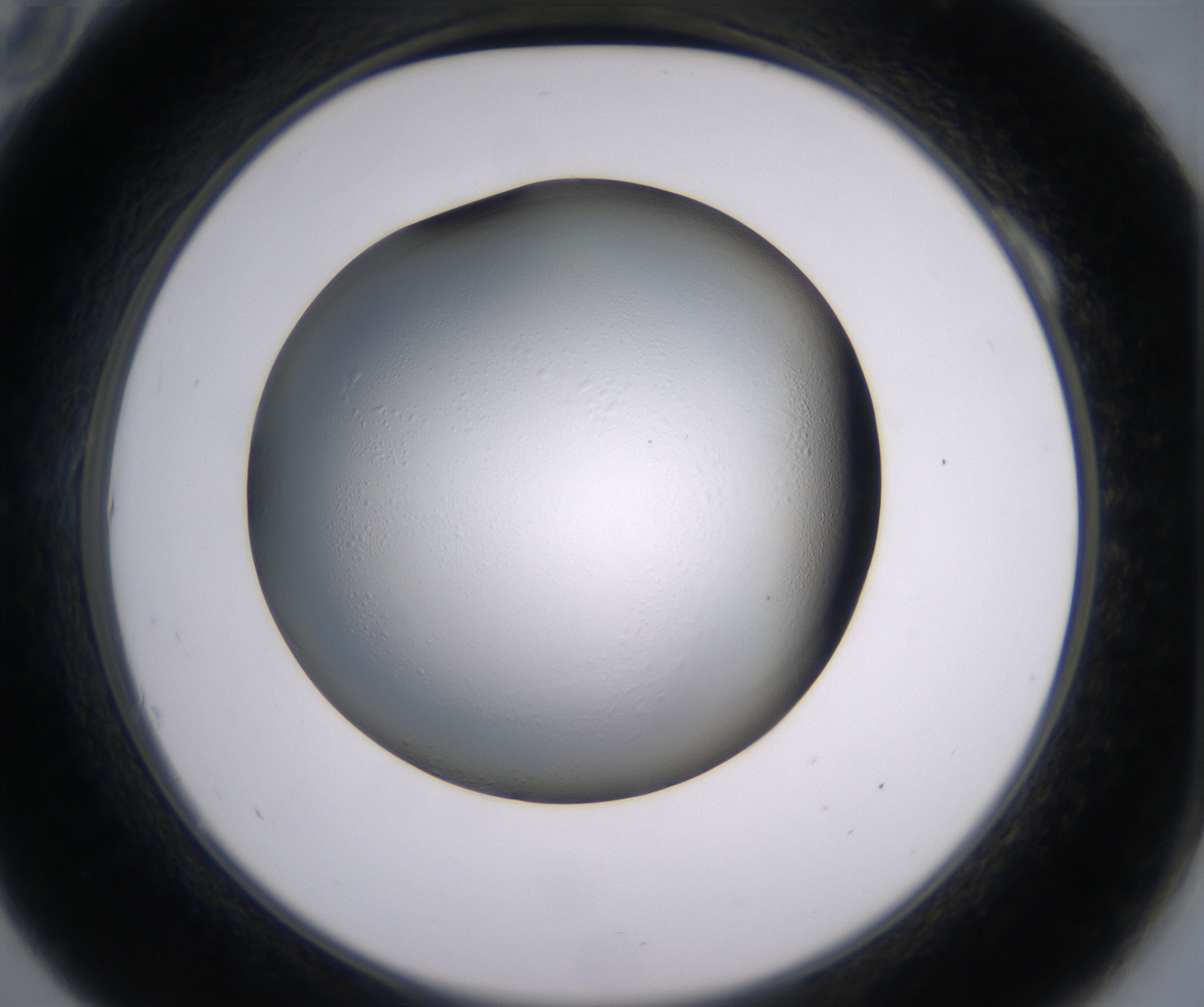 A10_HighResolution_Clear_2.jpg