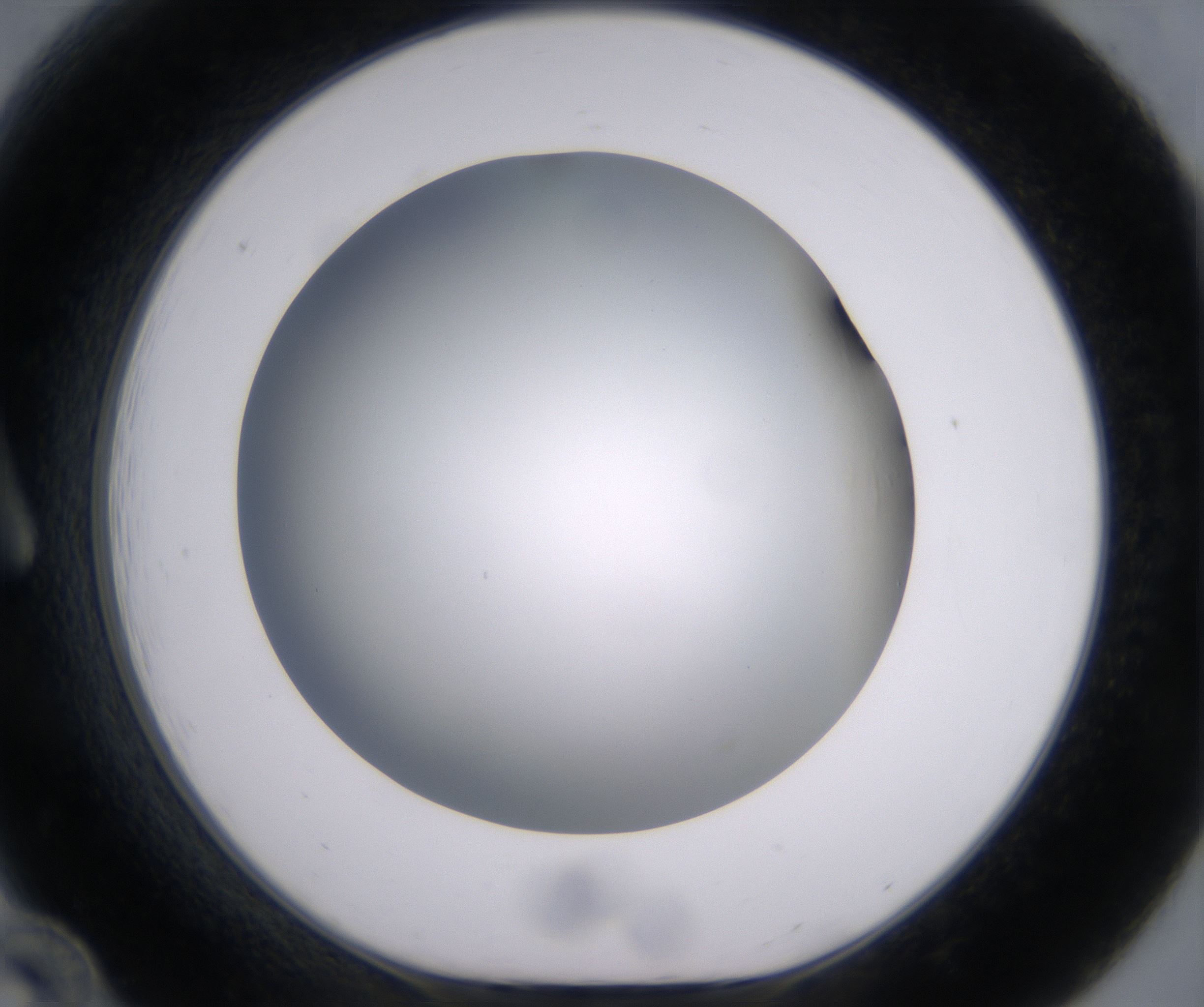 A12_HighResolution_Clear_1.jpg