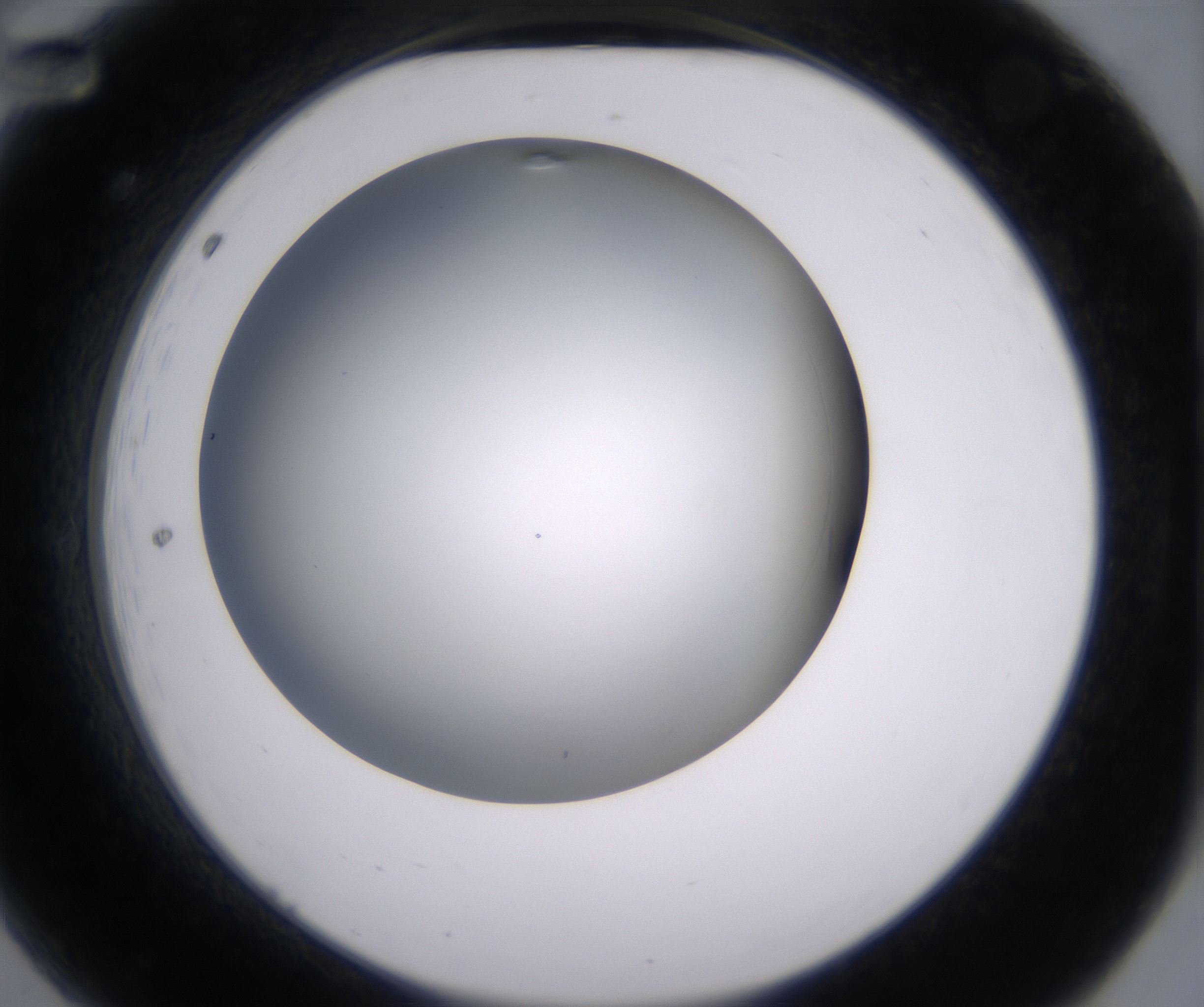A12_HighResolution_Clear_2.jpg