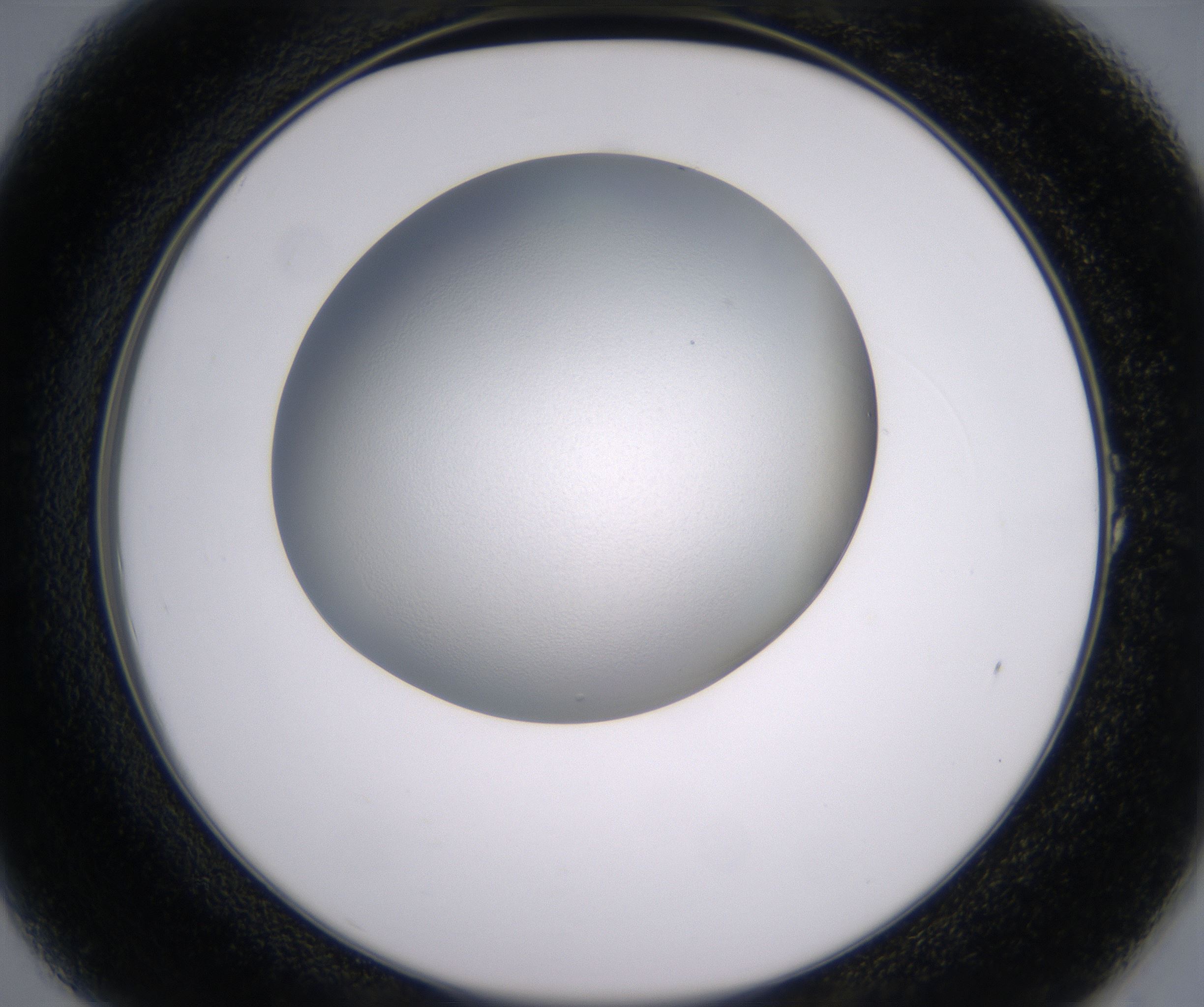 A1_HighResolution_Clear_2.jpg