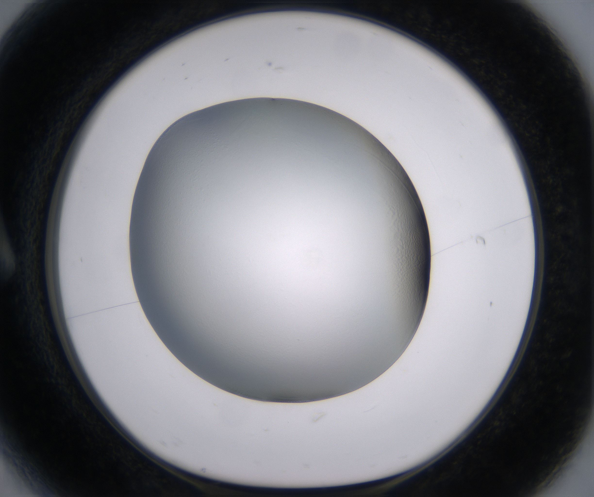 A6_HighResolution_Clear_1.jpg