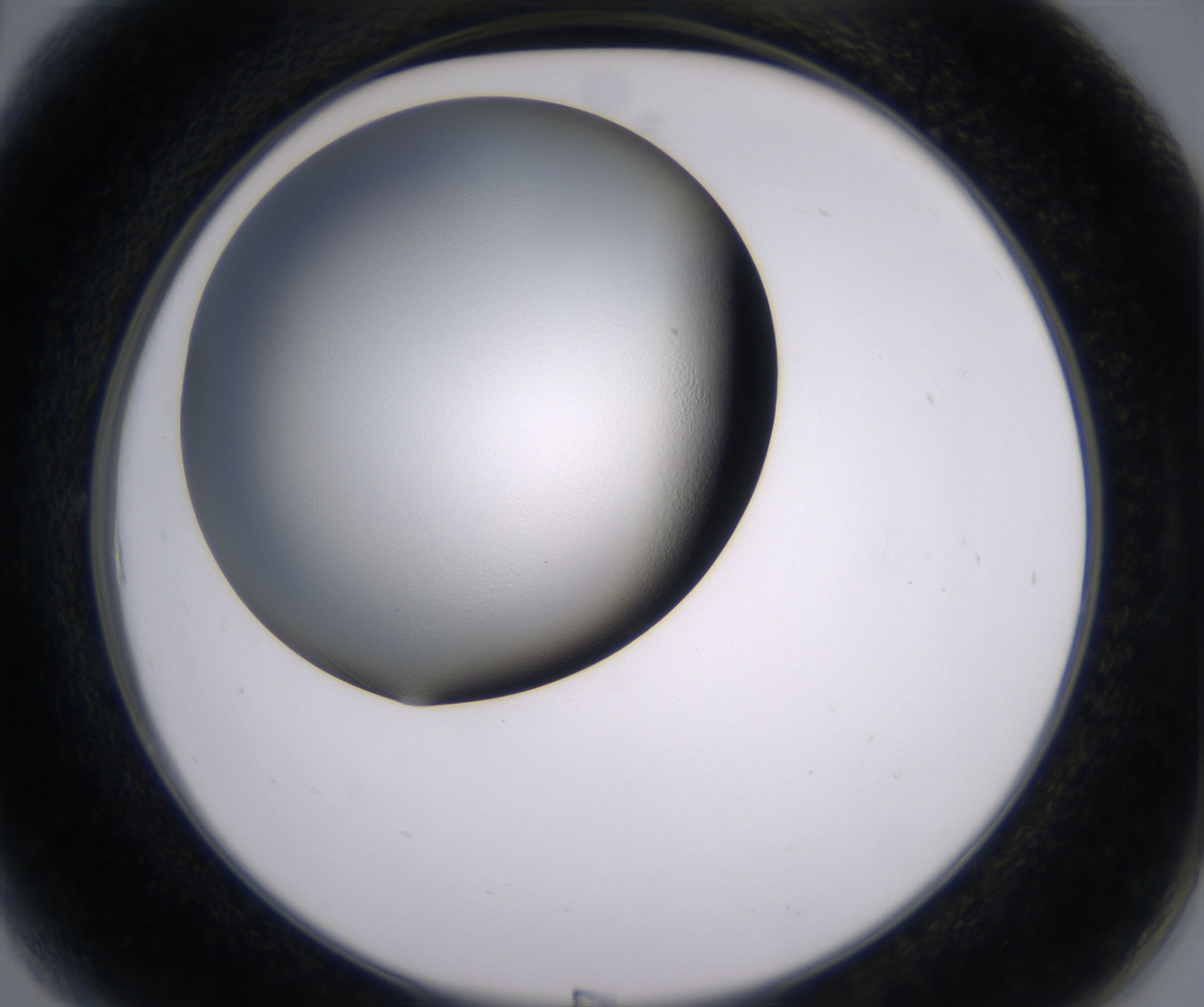 A6_HighResolution_Clear_2.jpg