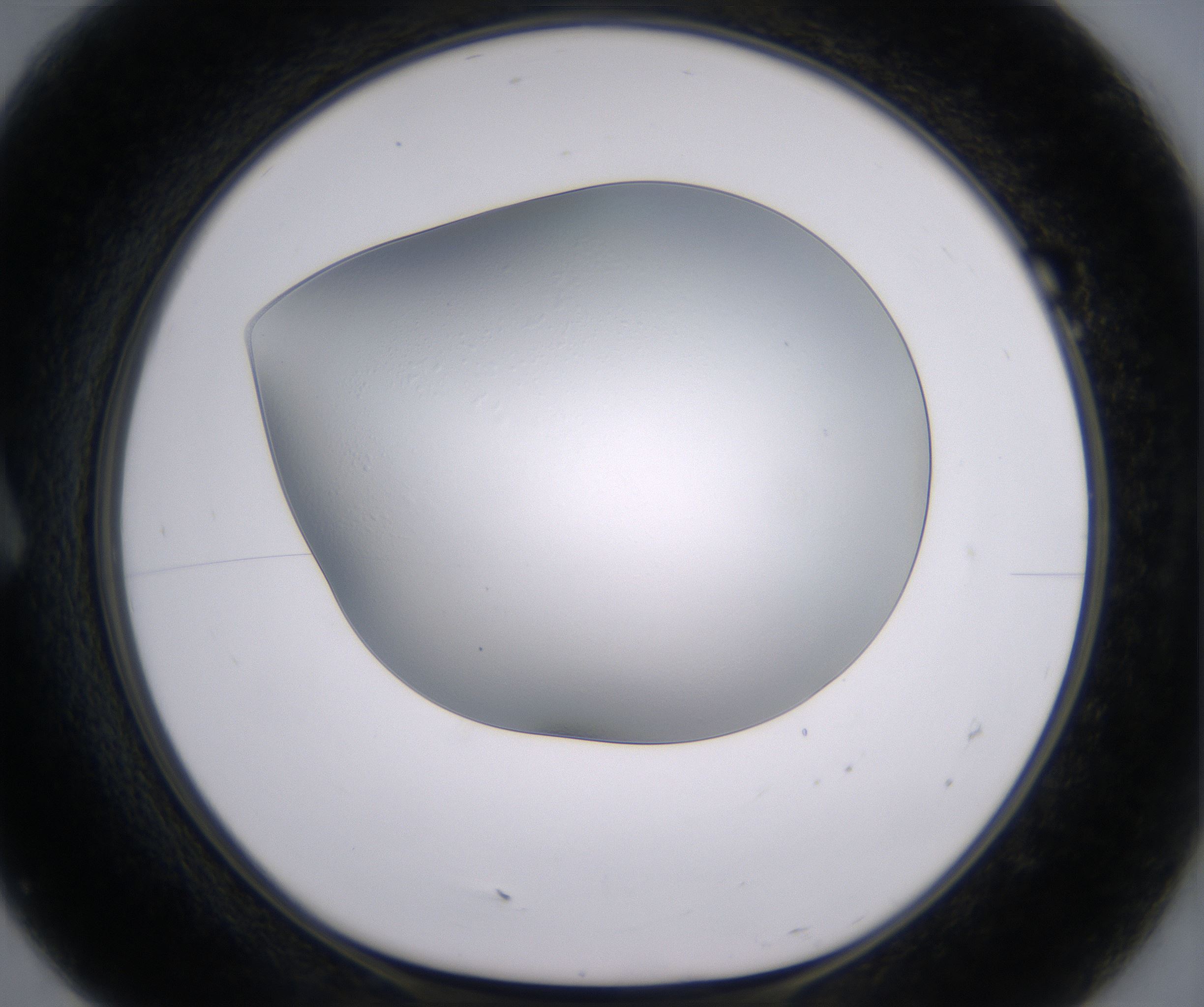A7_HighResolution_Clear_1.jpg