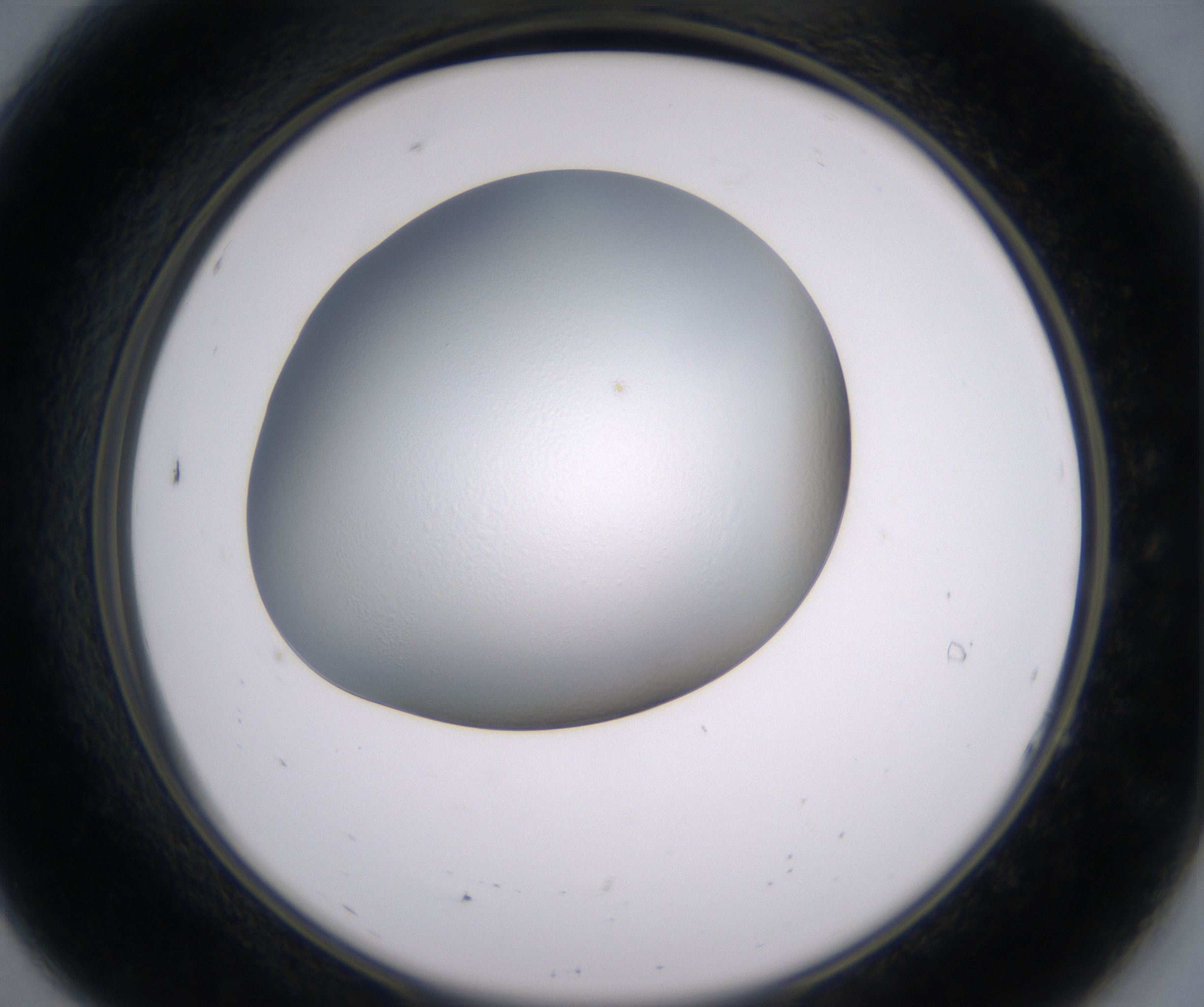 A7_HighResolution_Clear_2.jpg