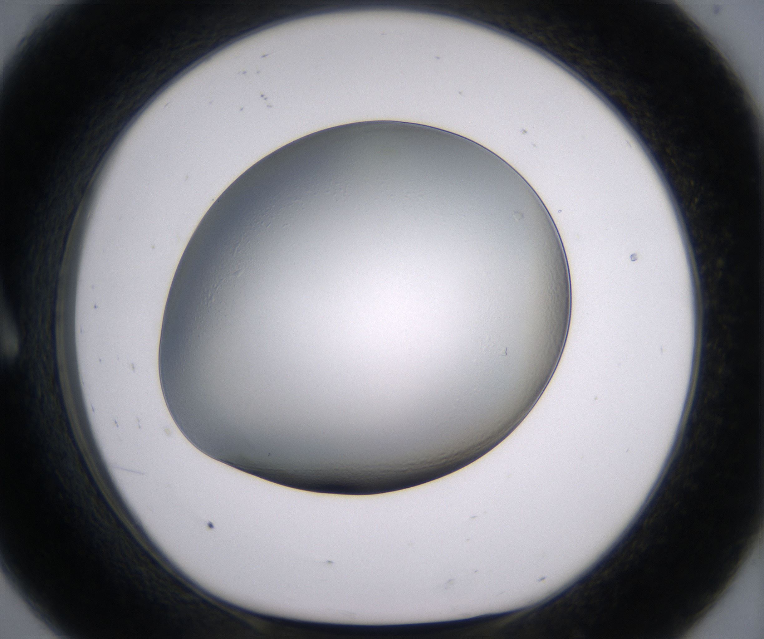 A8_HighResolution_Clear_1.jpg
