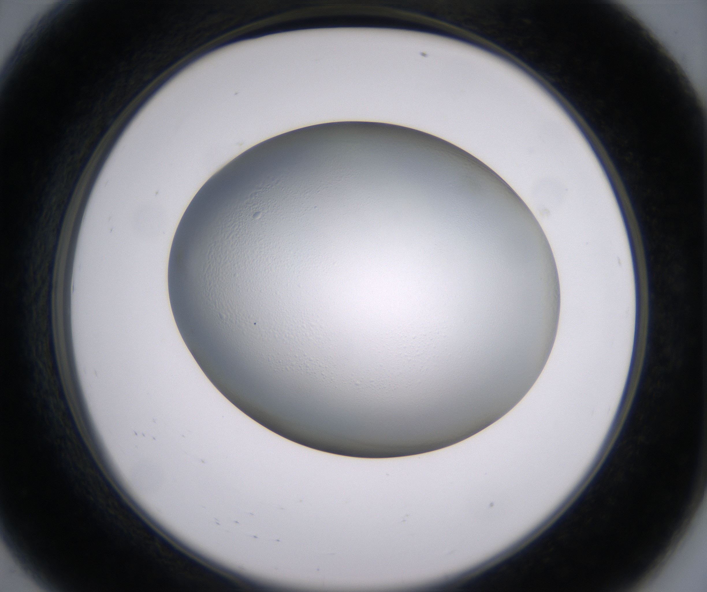 A8_HighResolution_Clear_2.jpg