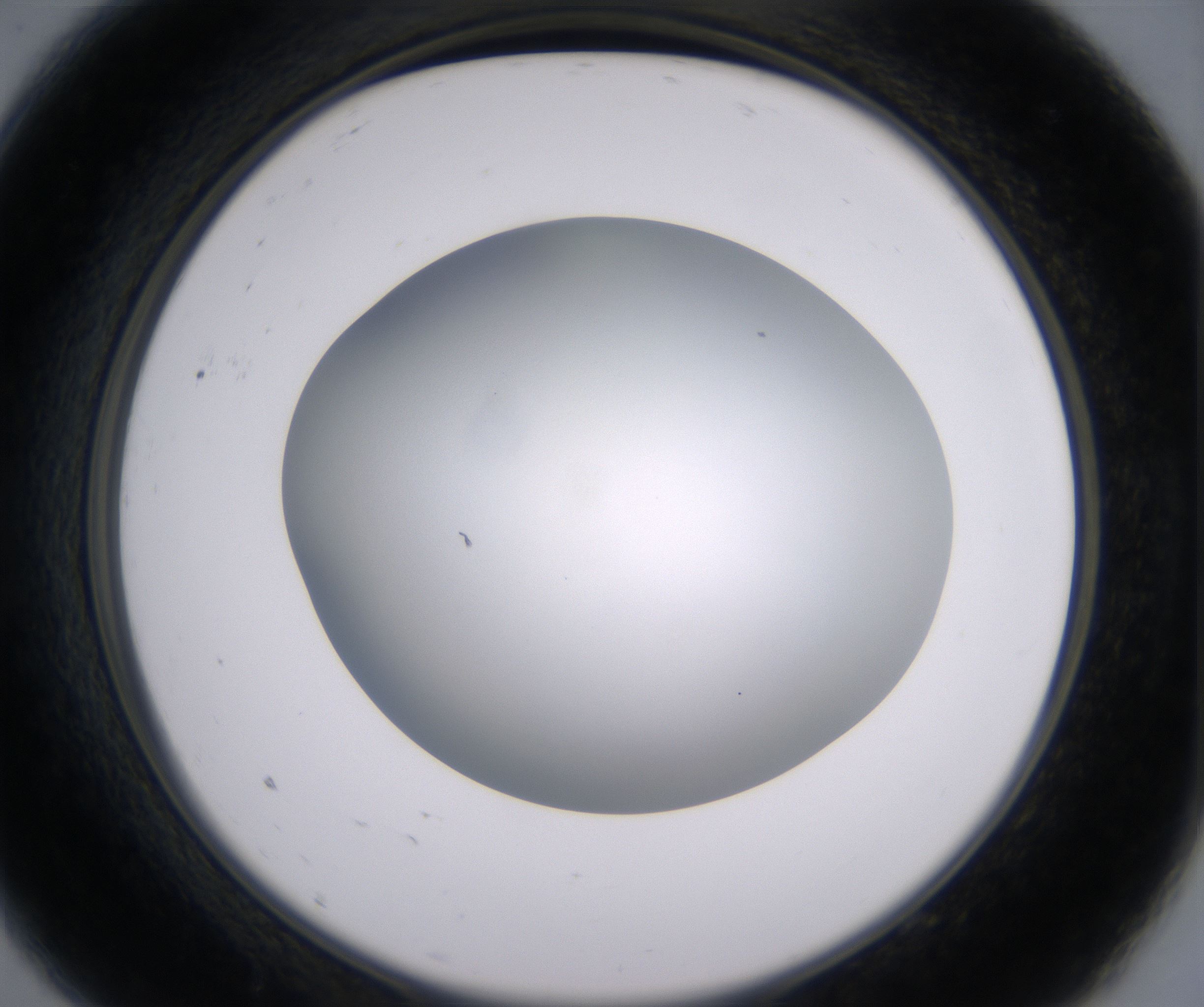 A9_HighResolution_Clear_2.jpg