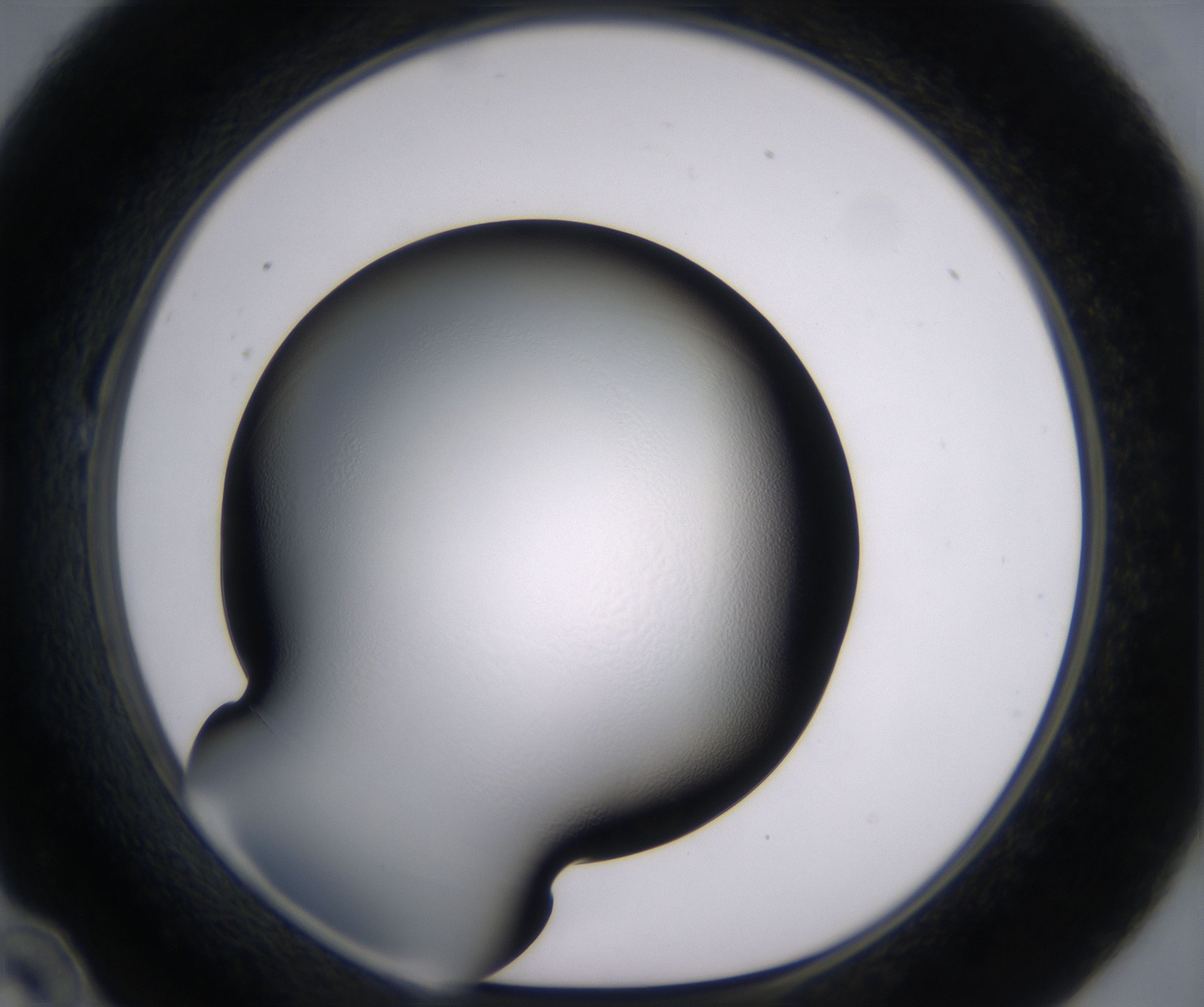 B10_HighResolution_Clear_1.jpg