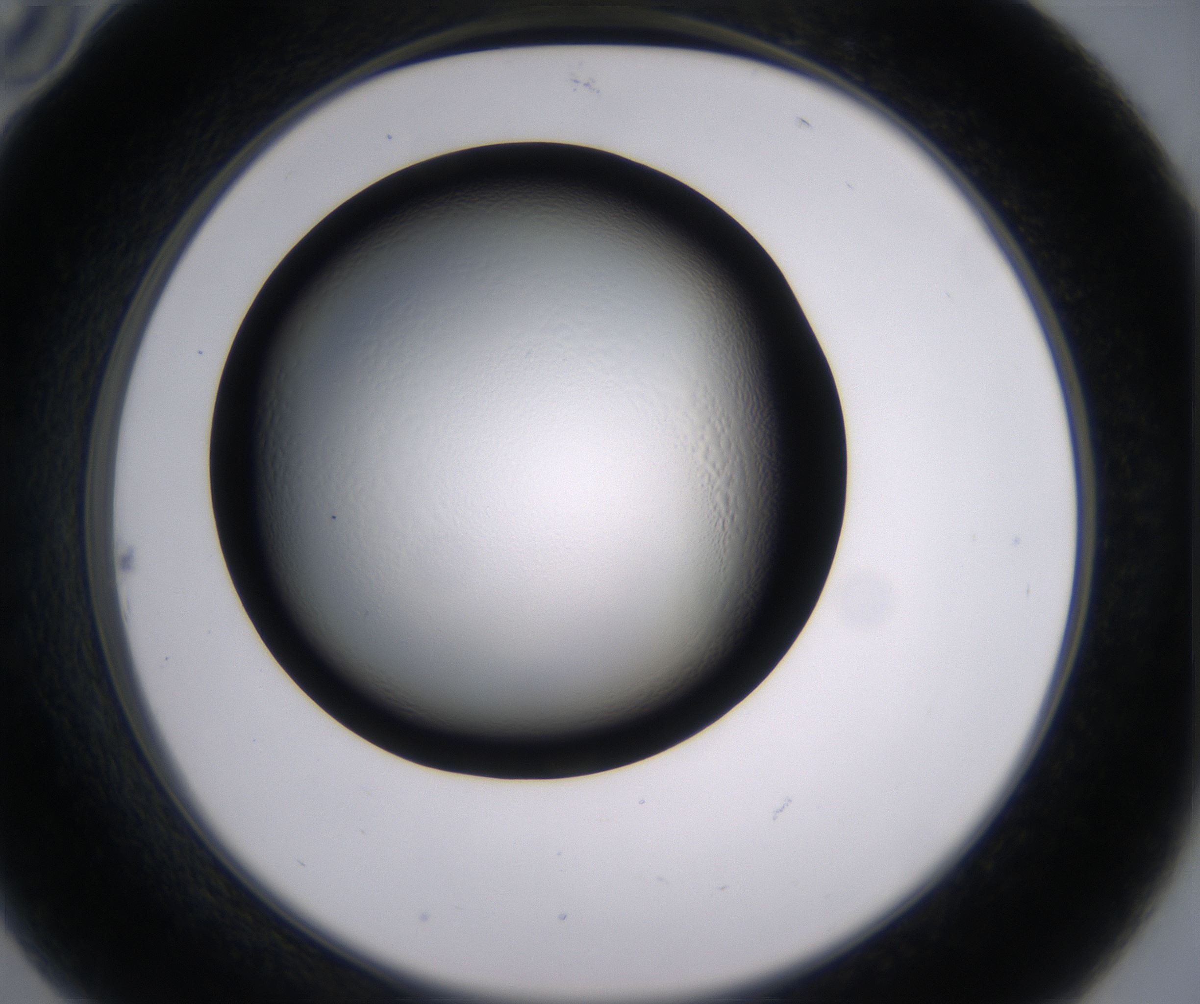 B10_HighResolution_Clear_2.jpg