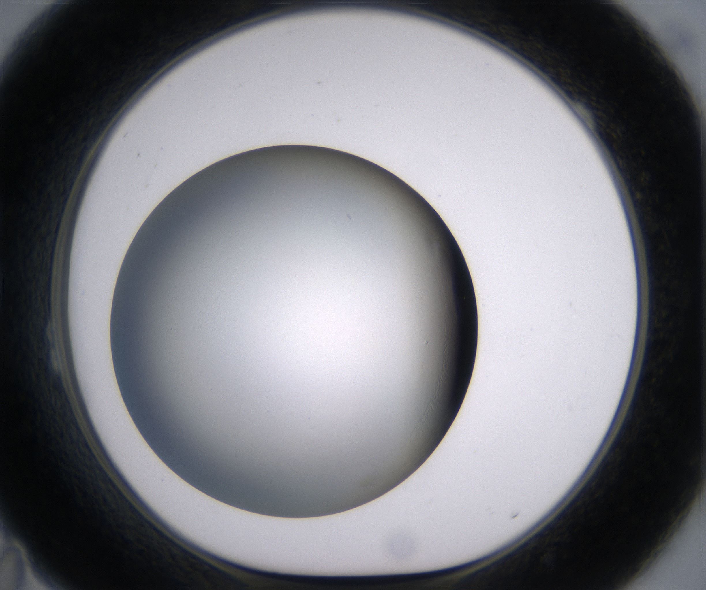 B11_HighResolution_Clear_1.jpg