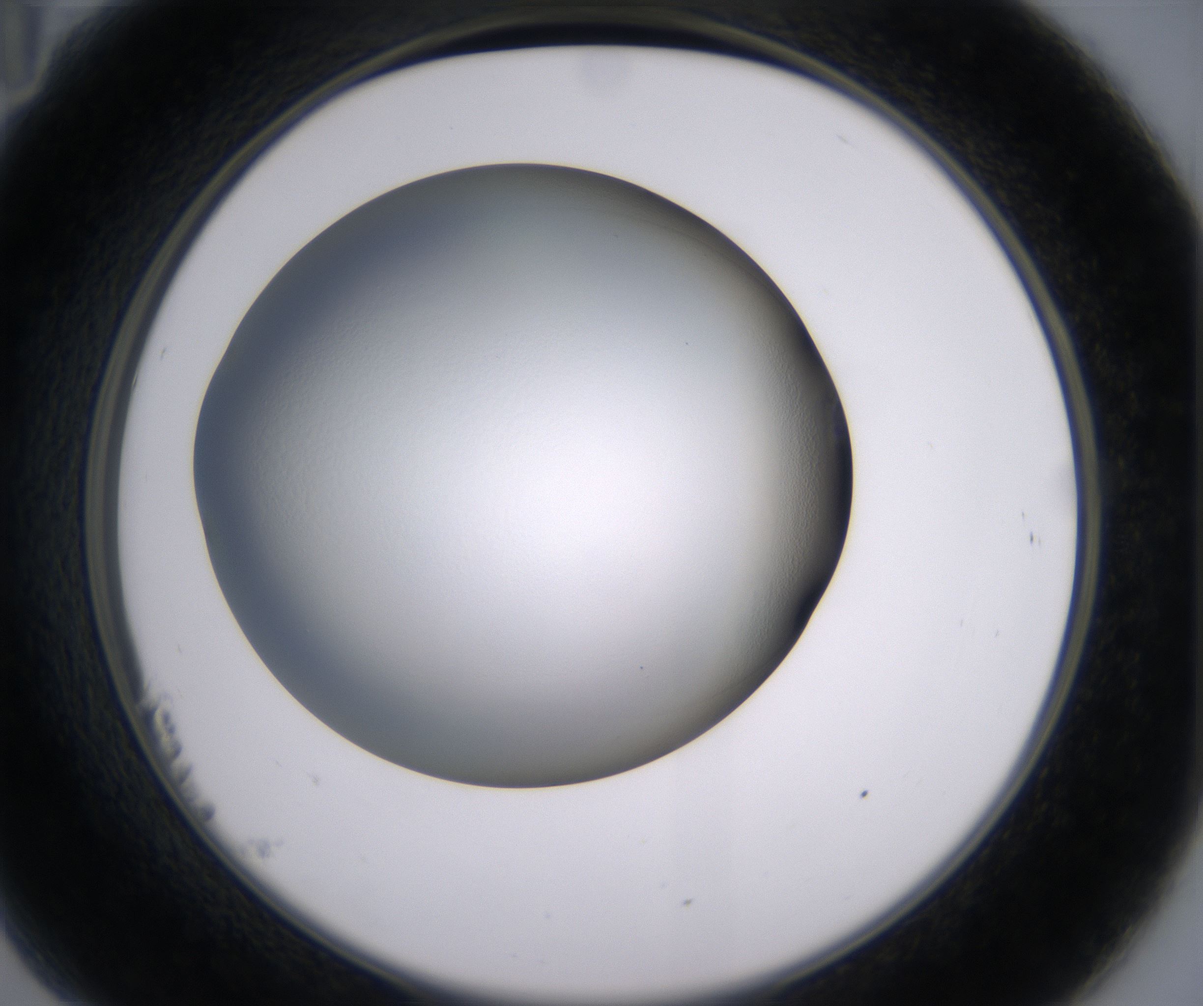 B11_HighResolution_Clear_2.jpg