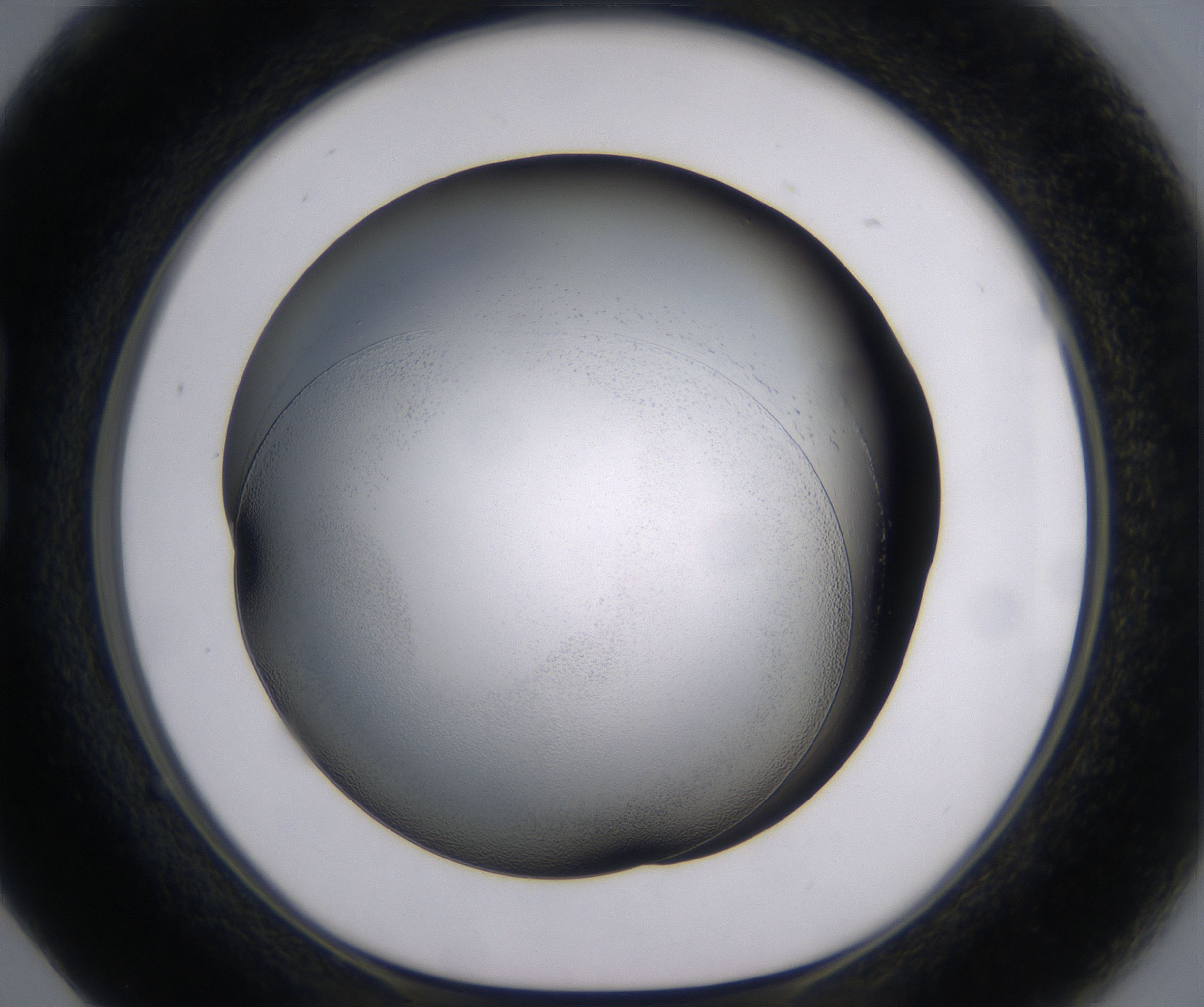 B5_HighResolution_Clear_1.jpg