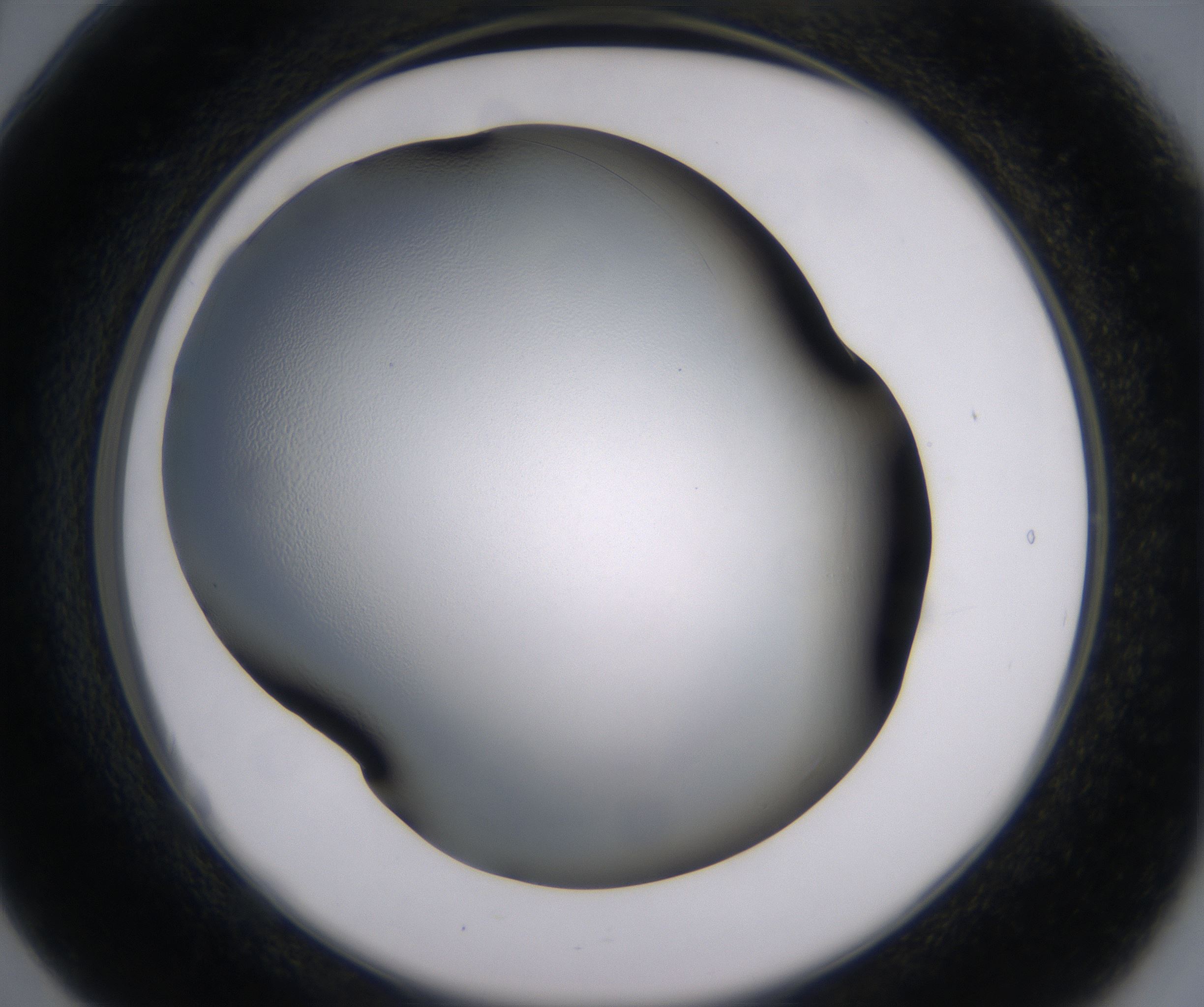 B5_HighResolution_Clear_2.jpg