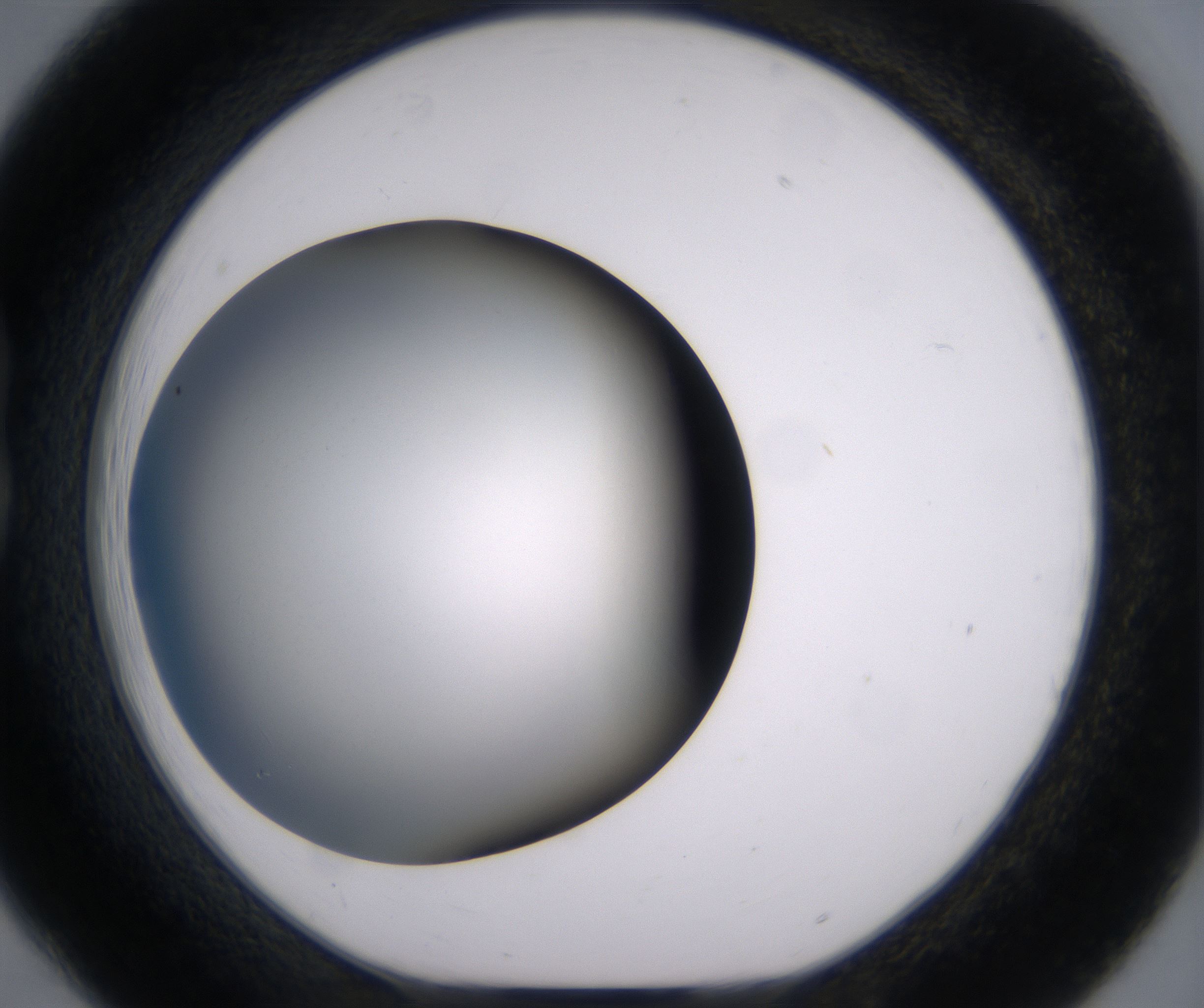 B6_HighResolution_Clear_1.jpg