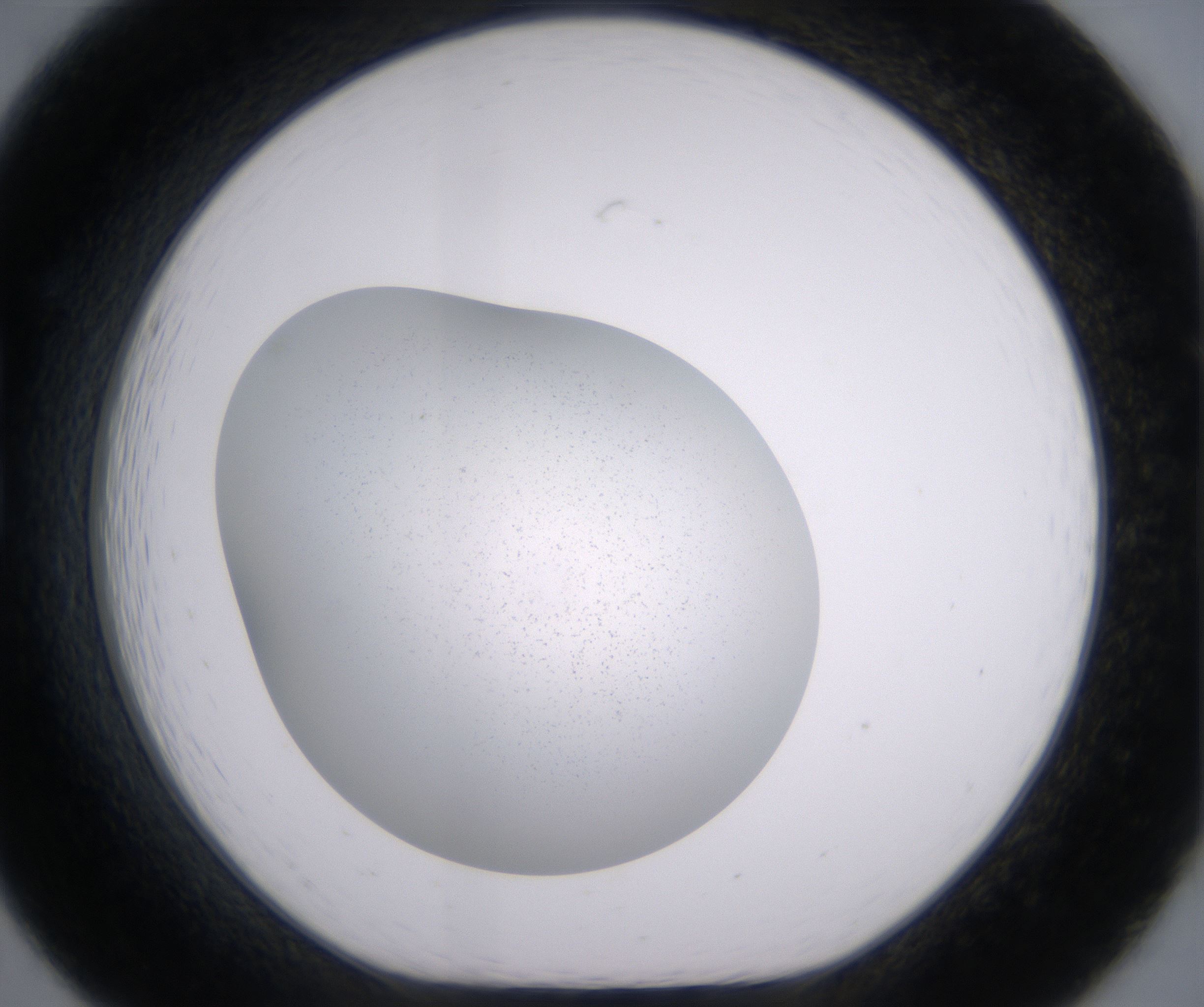 B7_HighResolution_Clear_1.jpg
