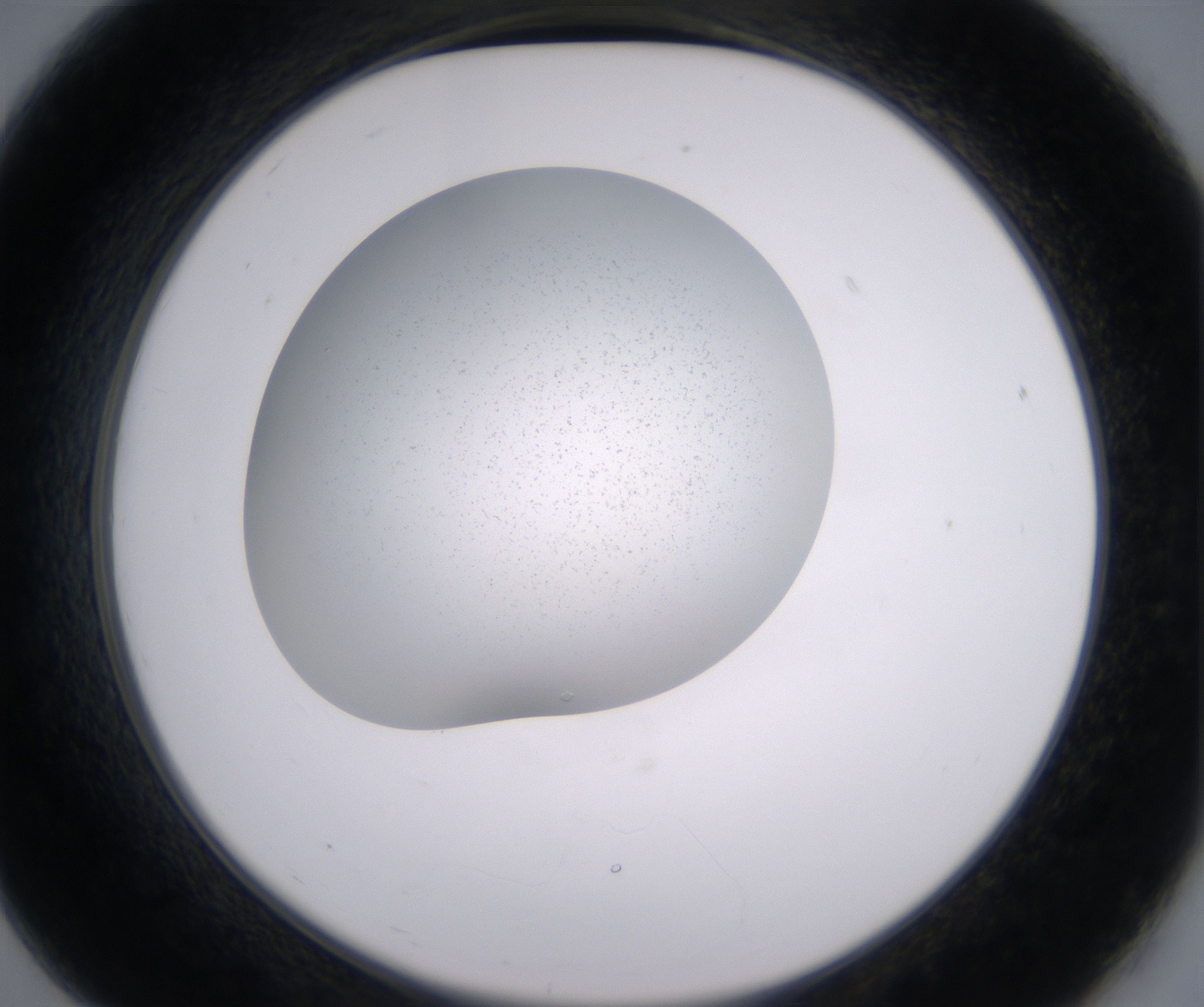 B7_HighResolution_Clear_2.jpg