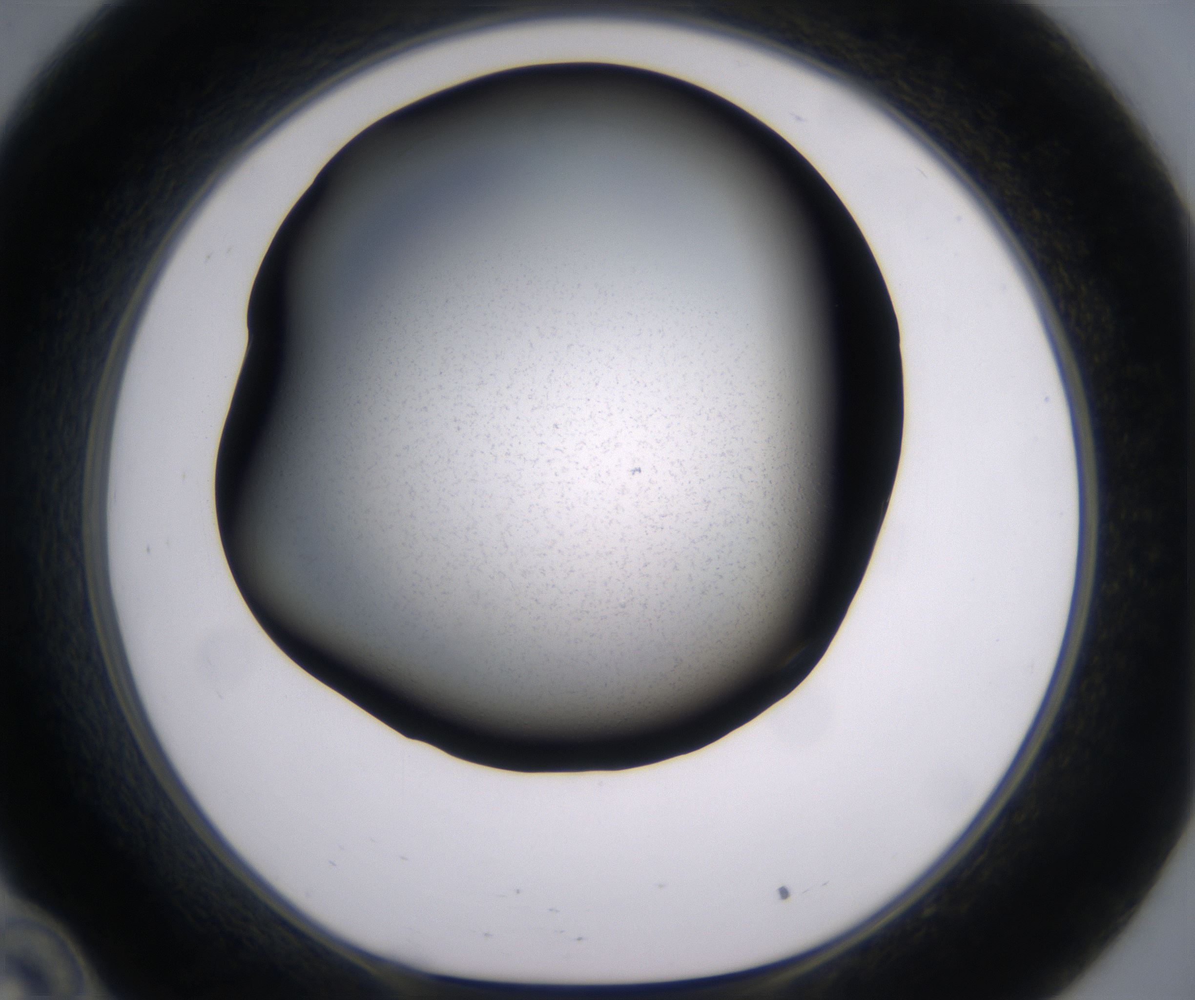 C10_HighResolution_Clear_1.jpg