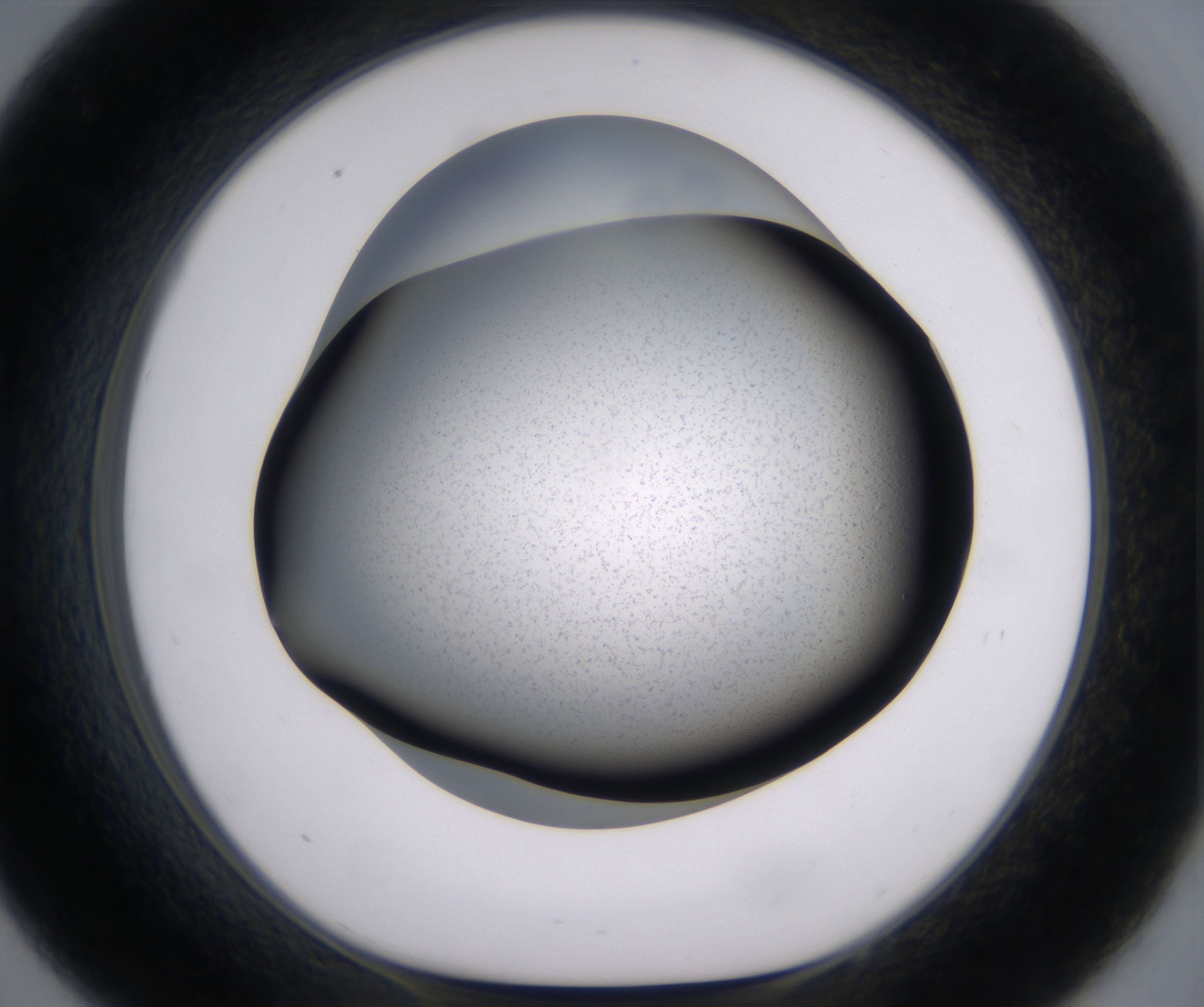 C9_HighResolution_Precipitate_1.jpg