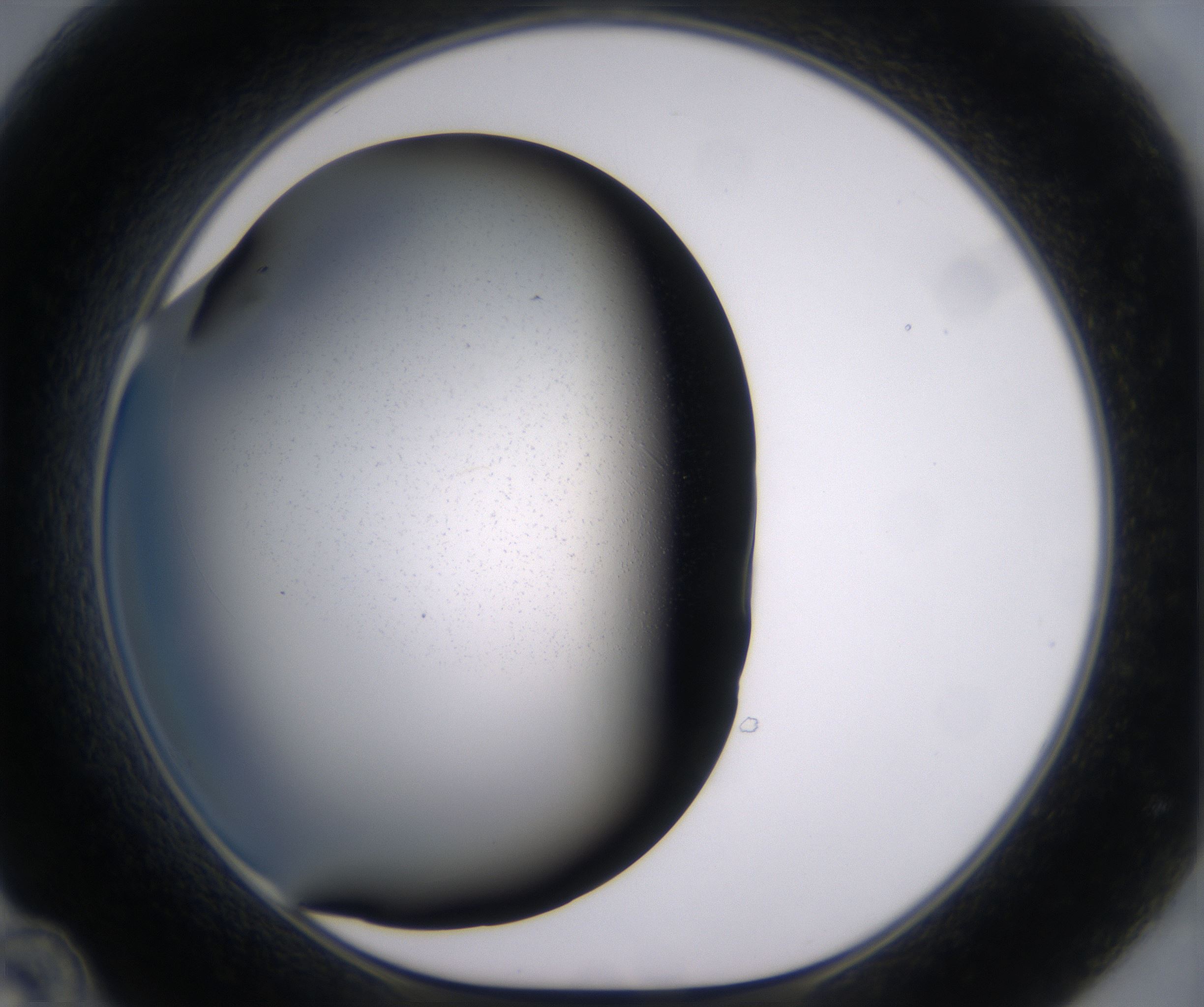 D12_HighResolution_Clear_1.jpg