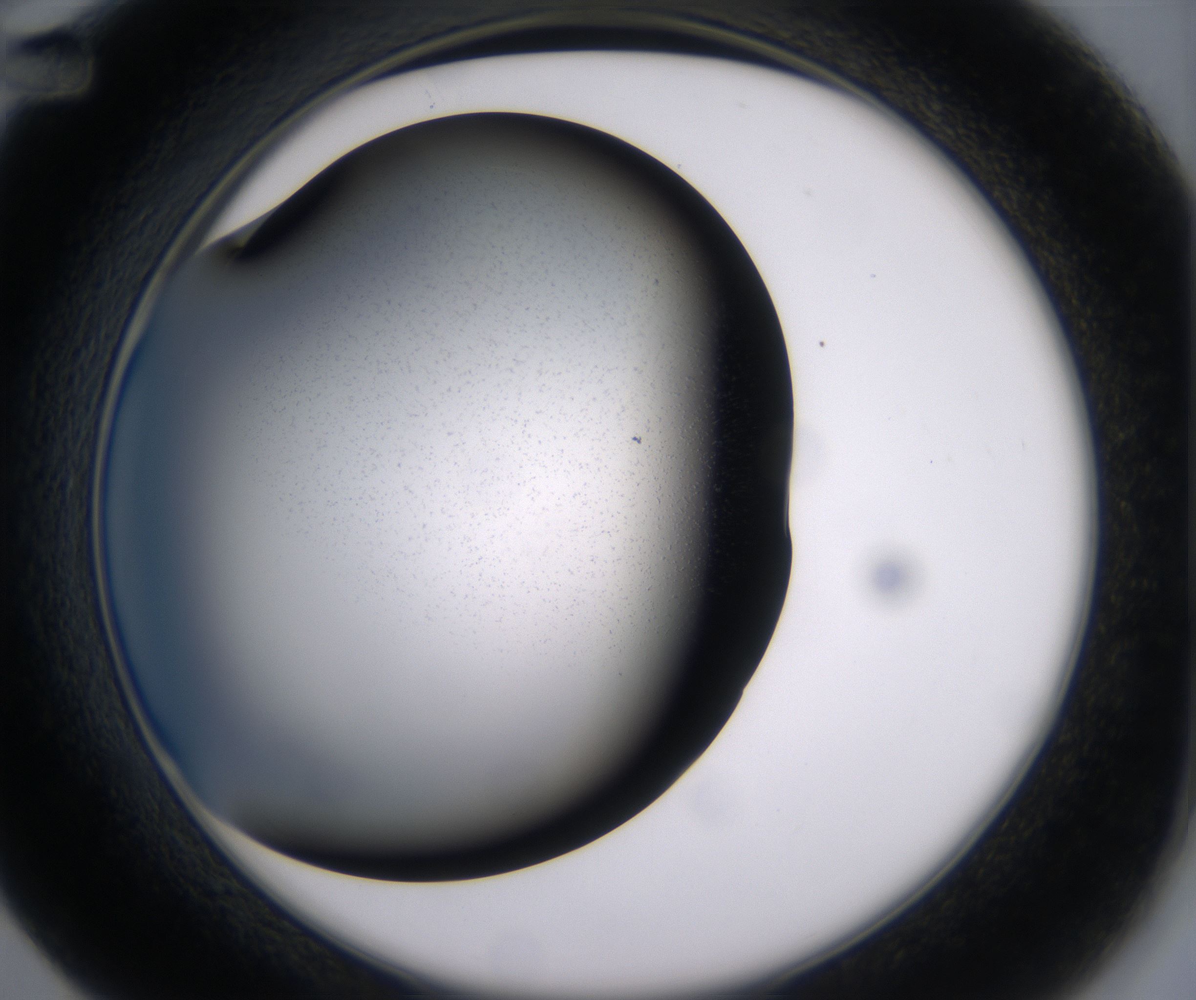 D12_HighResolution_Clear_2.jpg
