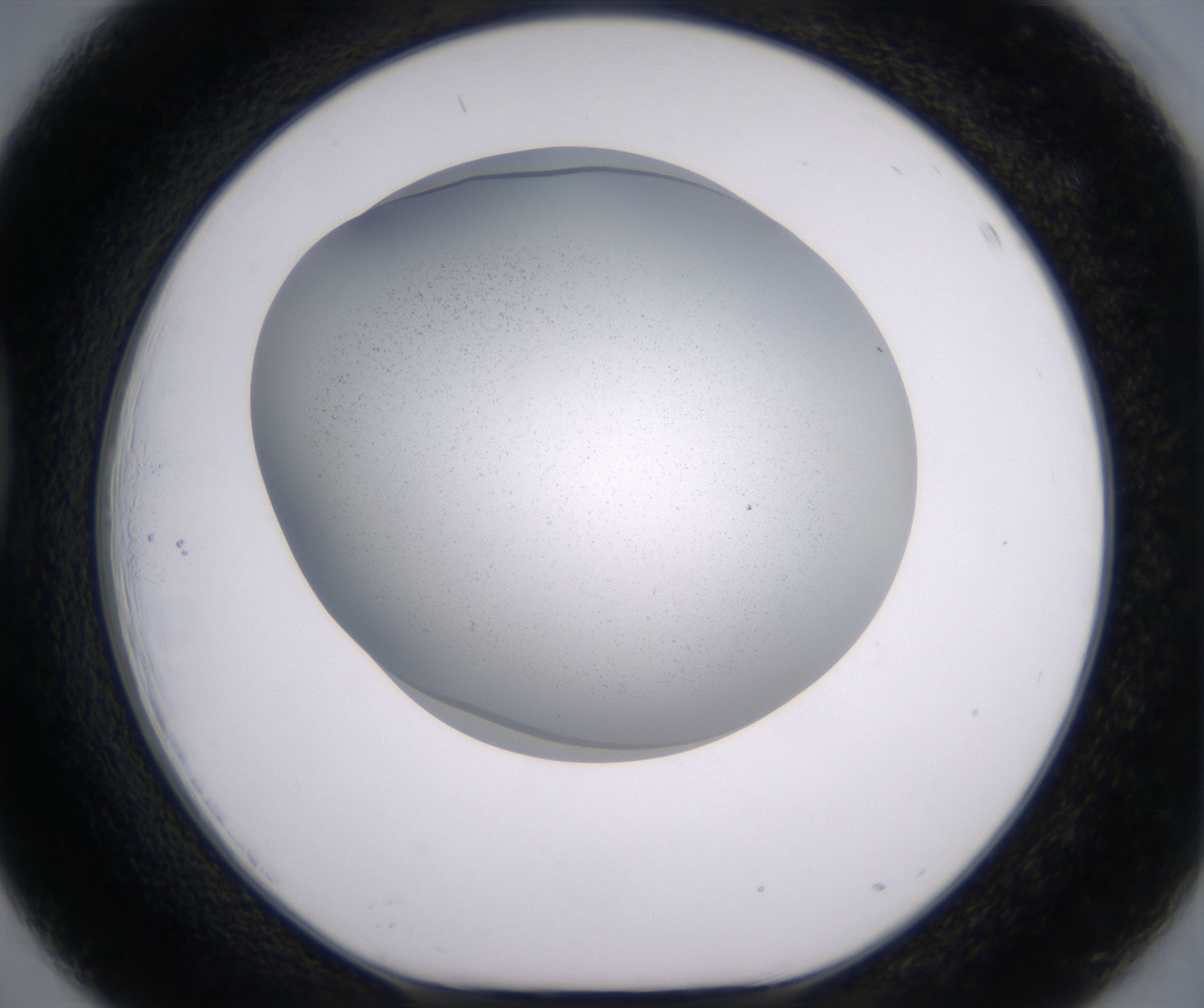 D3_HighResolution_Clear_1.jpg