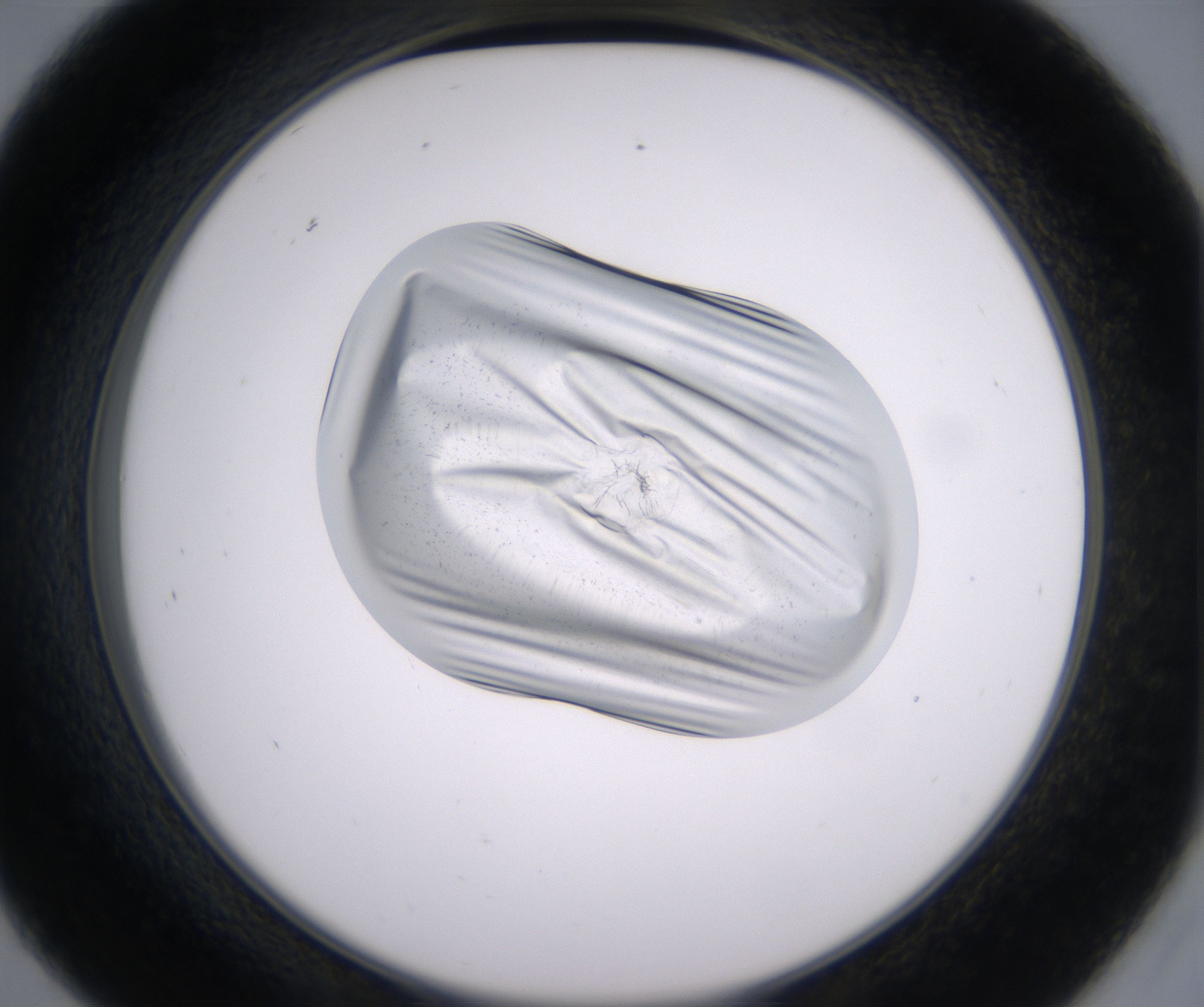 D9_HighResolution_Clear_2.jpg