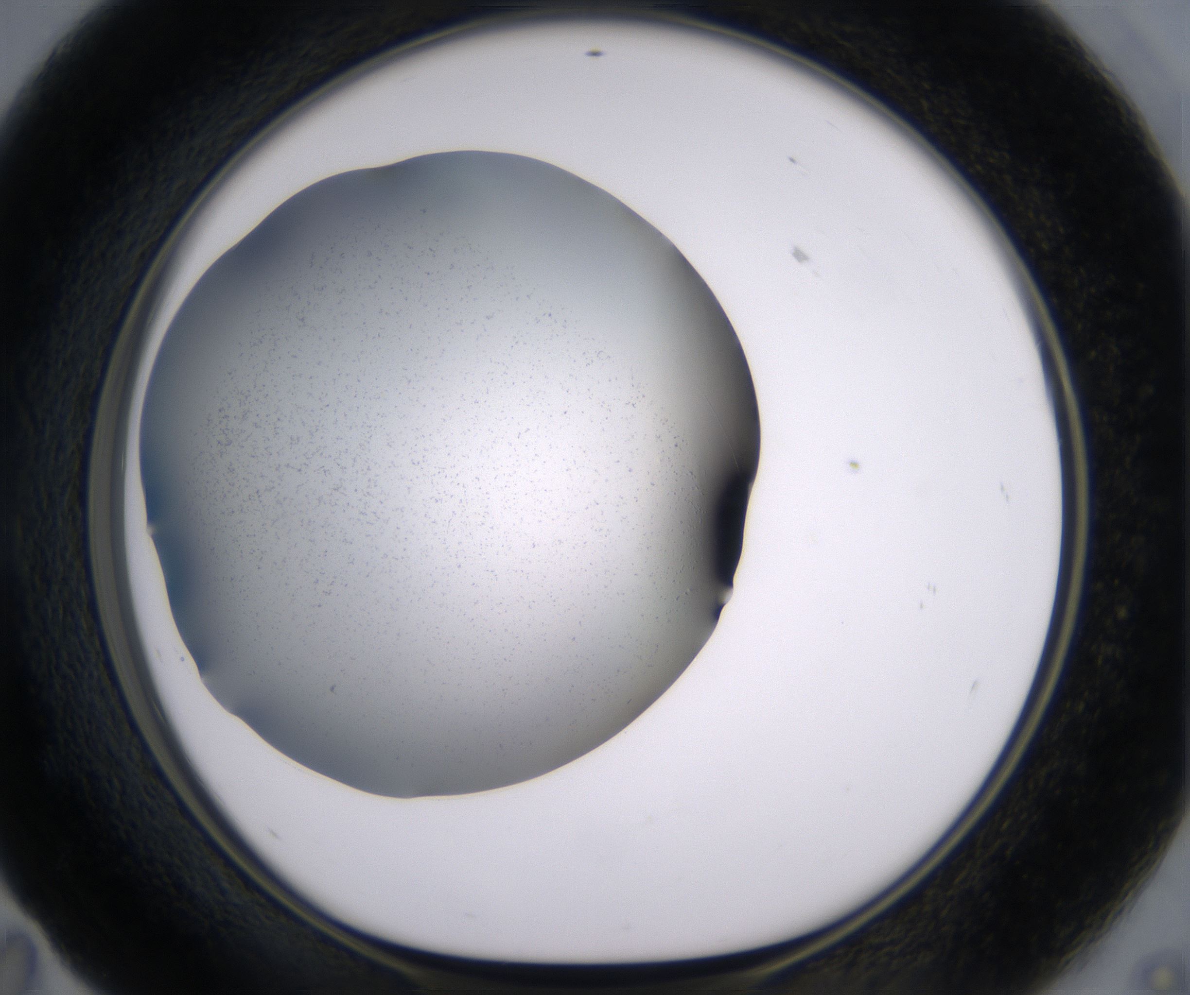 E11_HighResolution_Clear_1.jpg