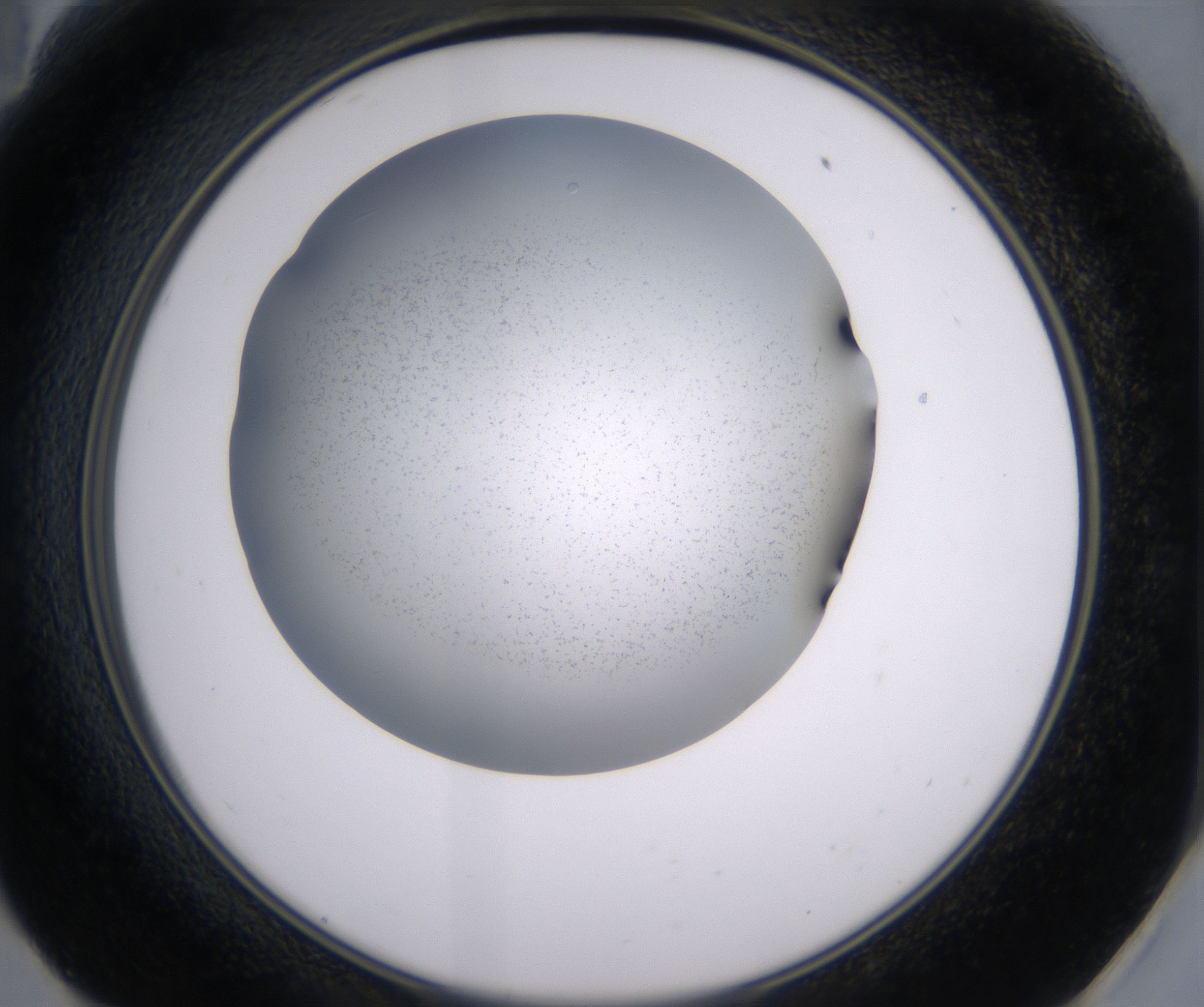 E11_HighResolution_Clear_2.jpg