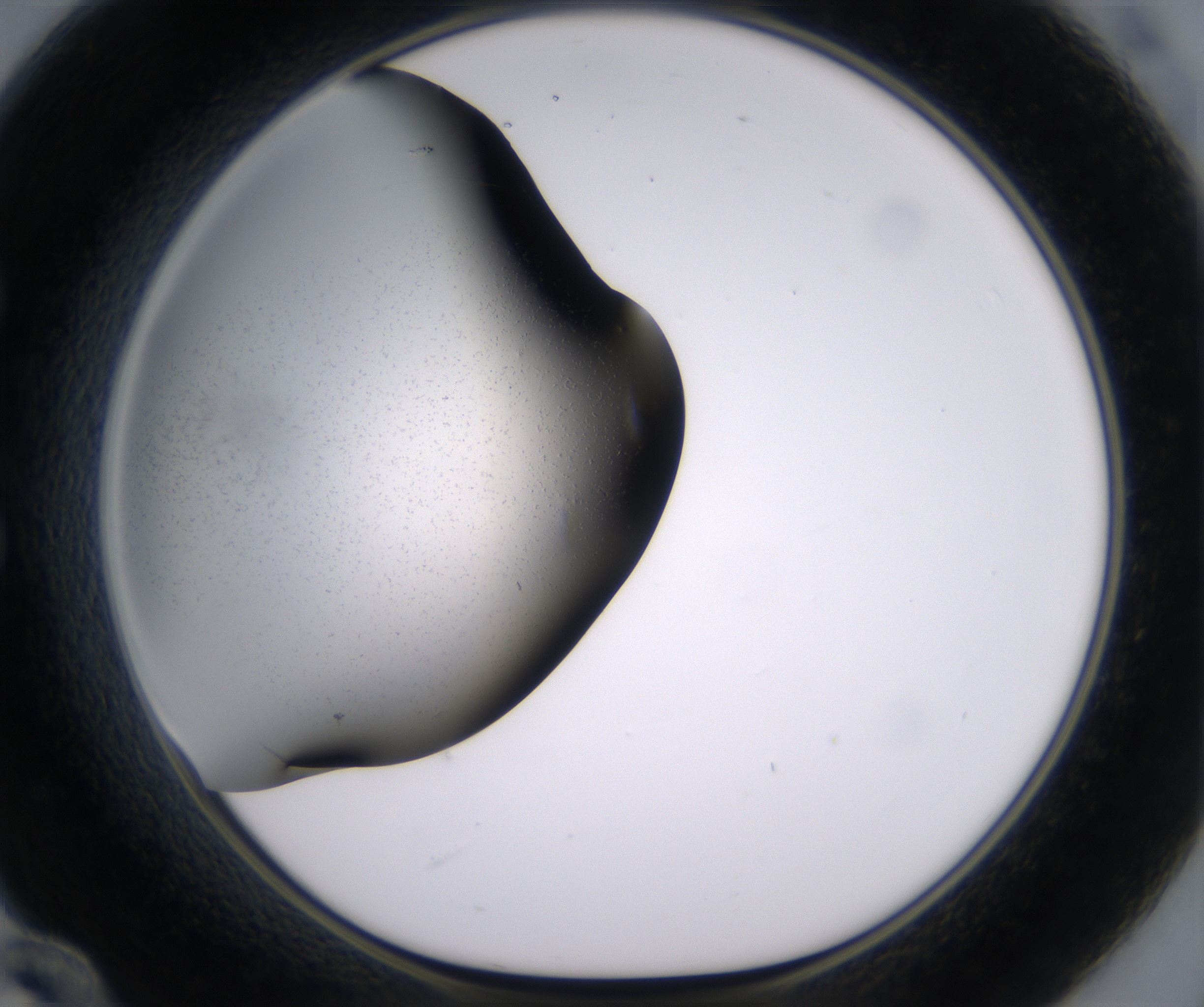 E12_HighResolution_Clear_1.jpg