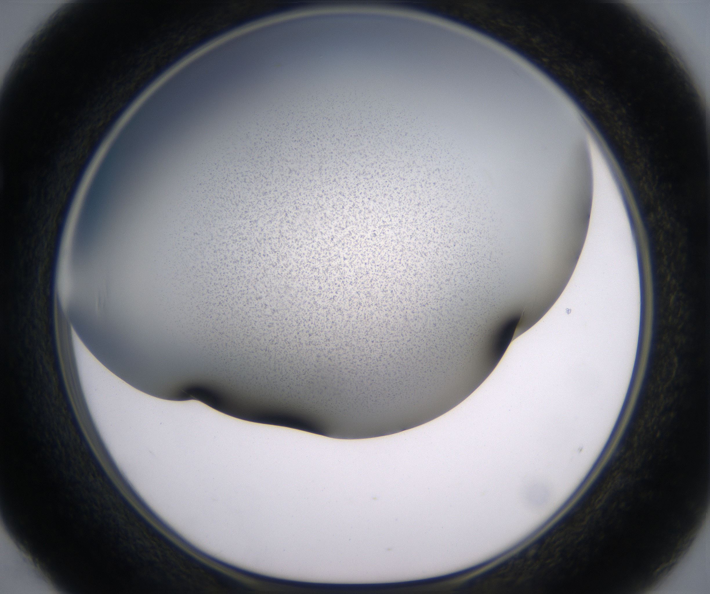 E4_HighResolution_Precipitate_1.jpg