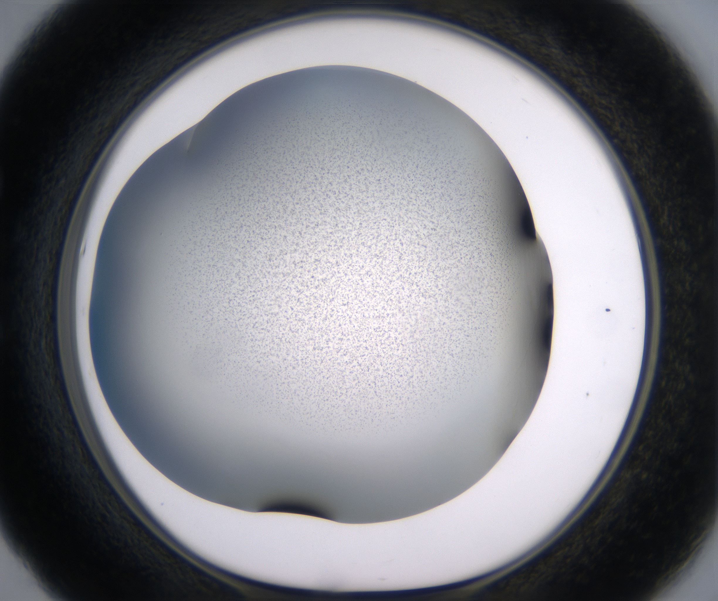 E5_HighResolution_Precipitate_1.jpg