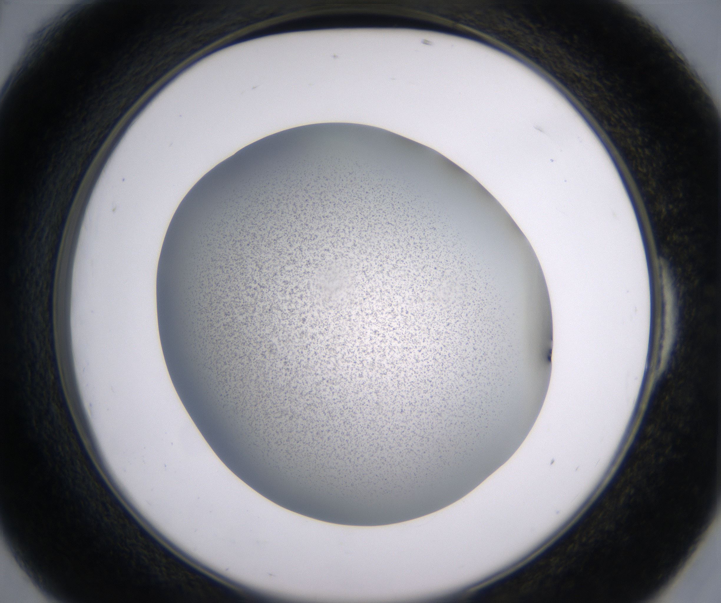 E6_HighResolution_Precipitate_2.jpg