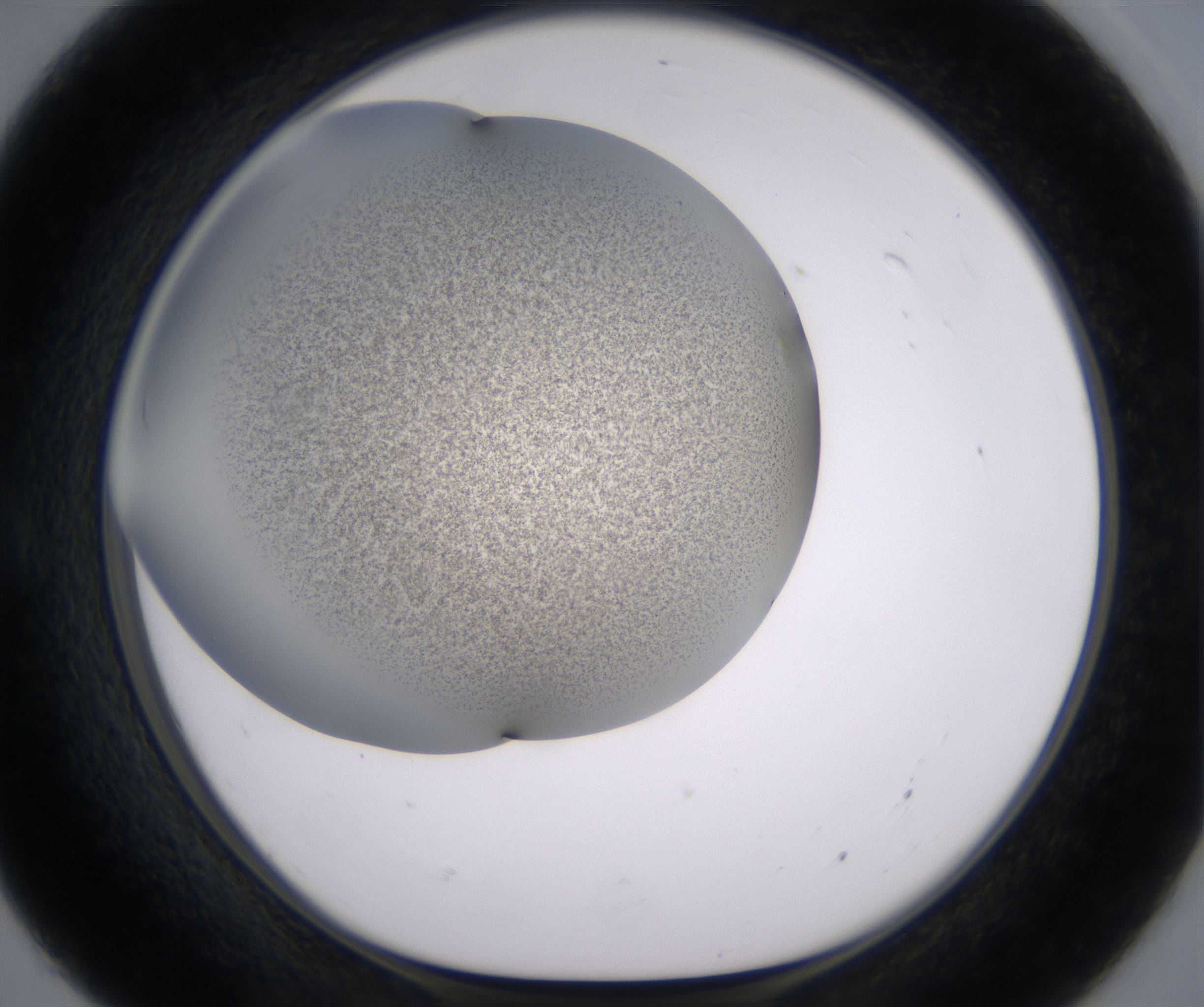 E7_HighResolution_Precipitate_1.jpg