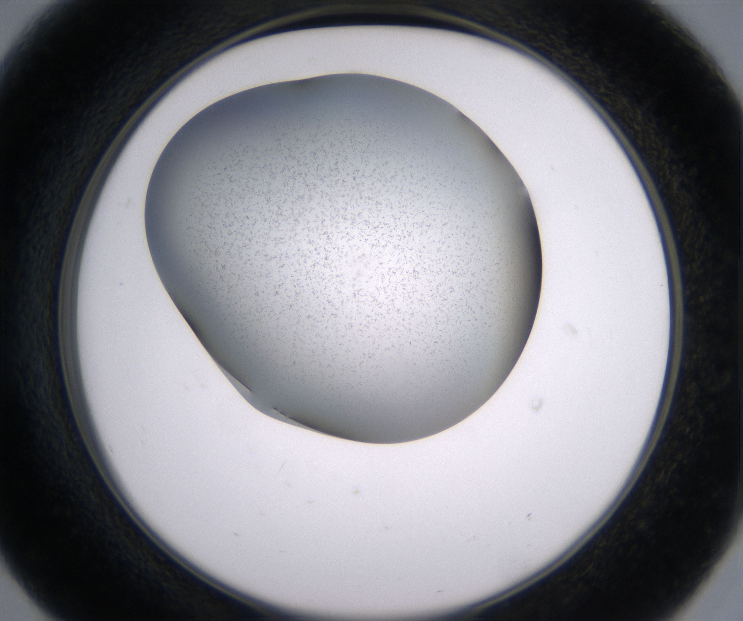 E8_HighResolution_Precipitate_2.jpg