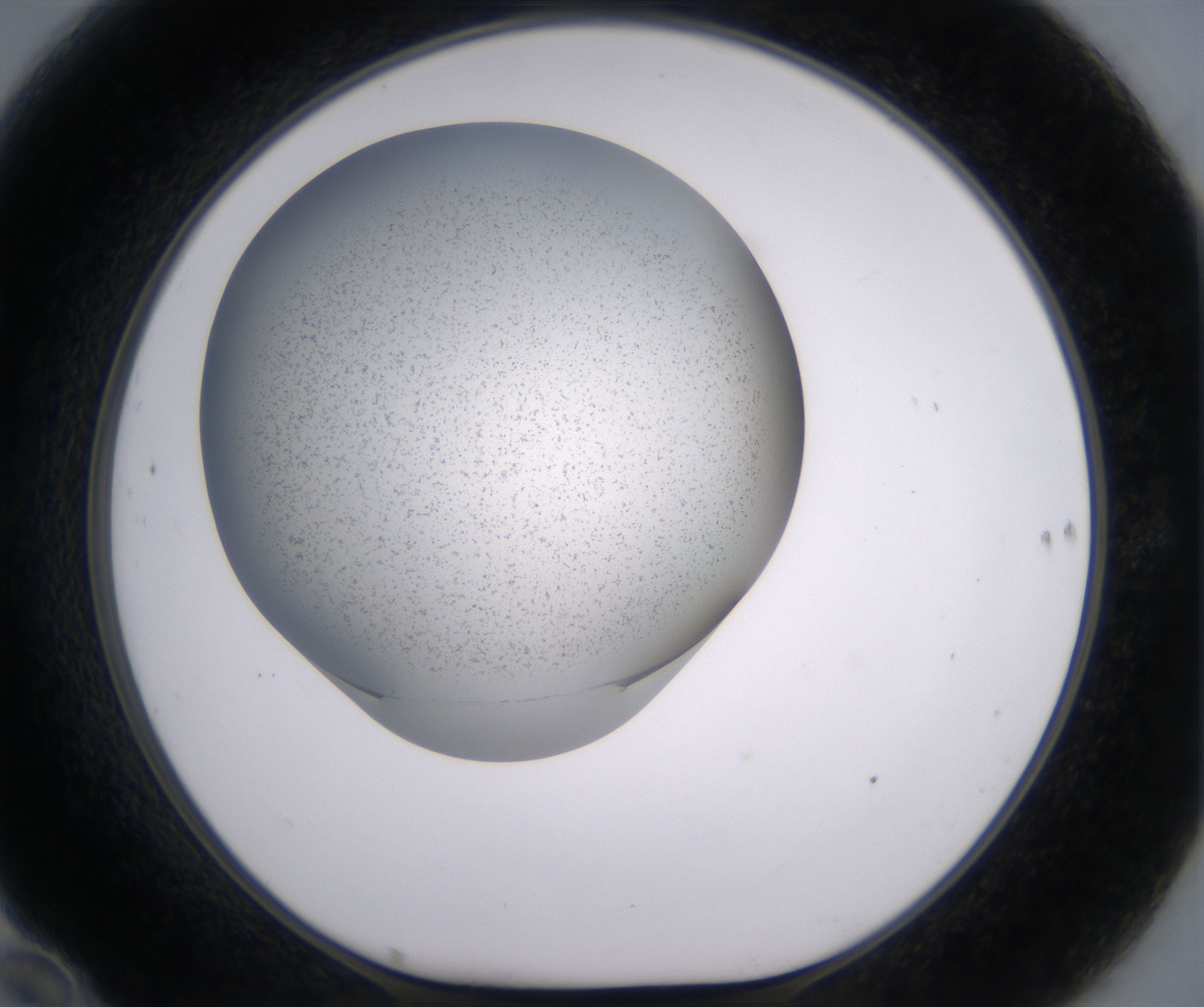 F10_HighResolution_Precipitate_1.jpg