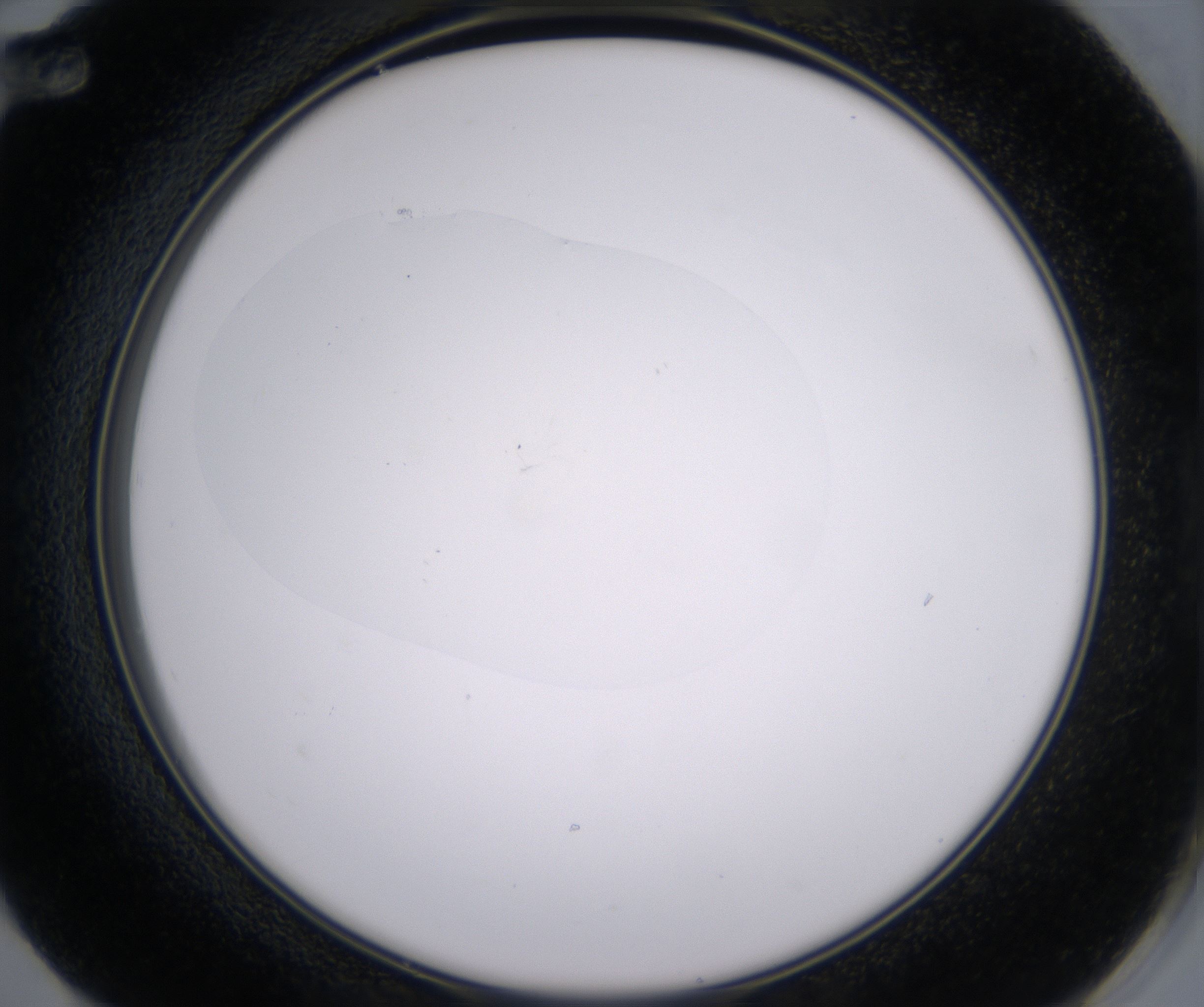F12_HighResolution_Clear_2.jpg