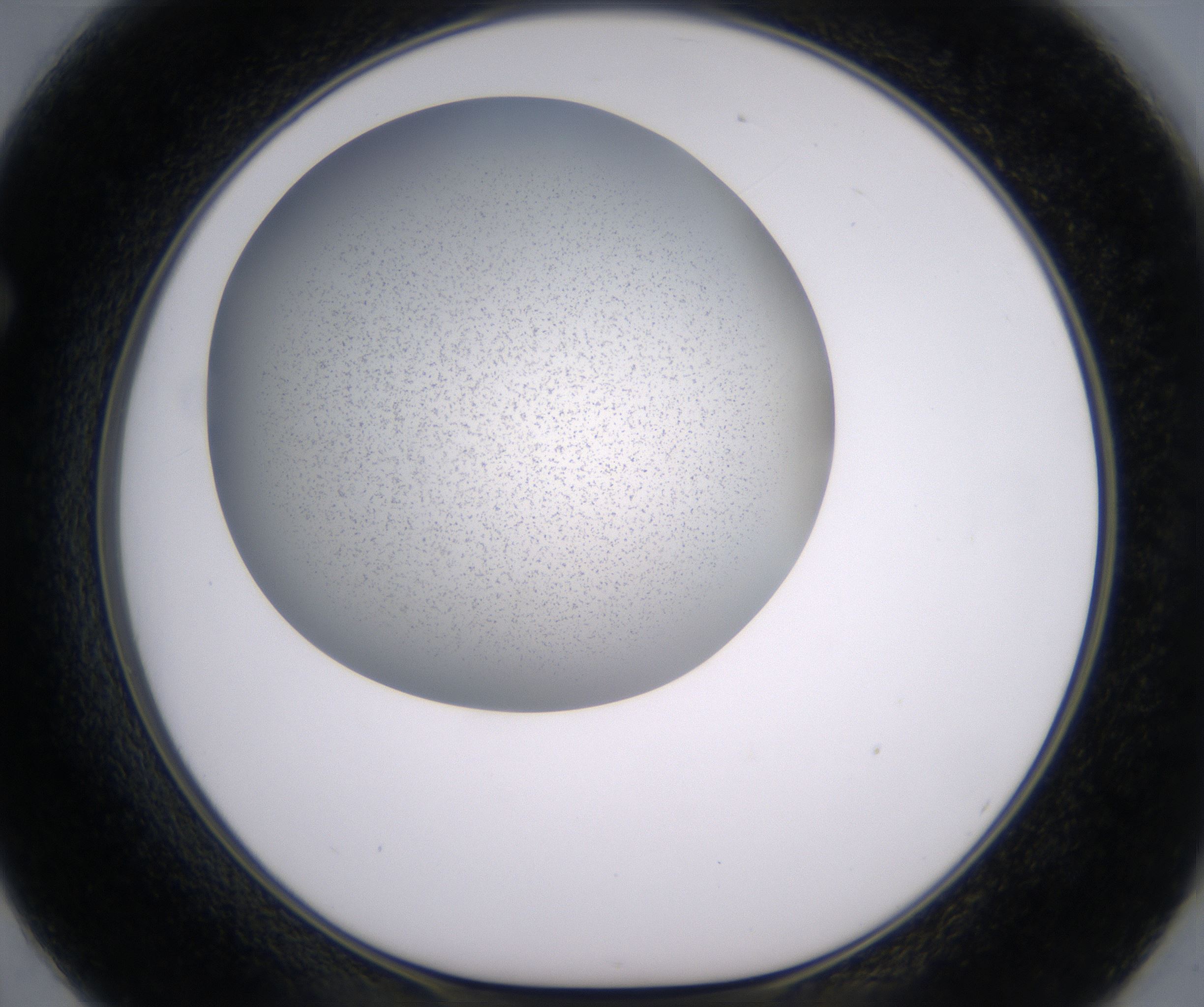 F2_HighResolution_Precipitate_1.jpg