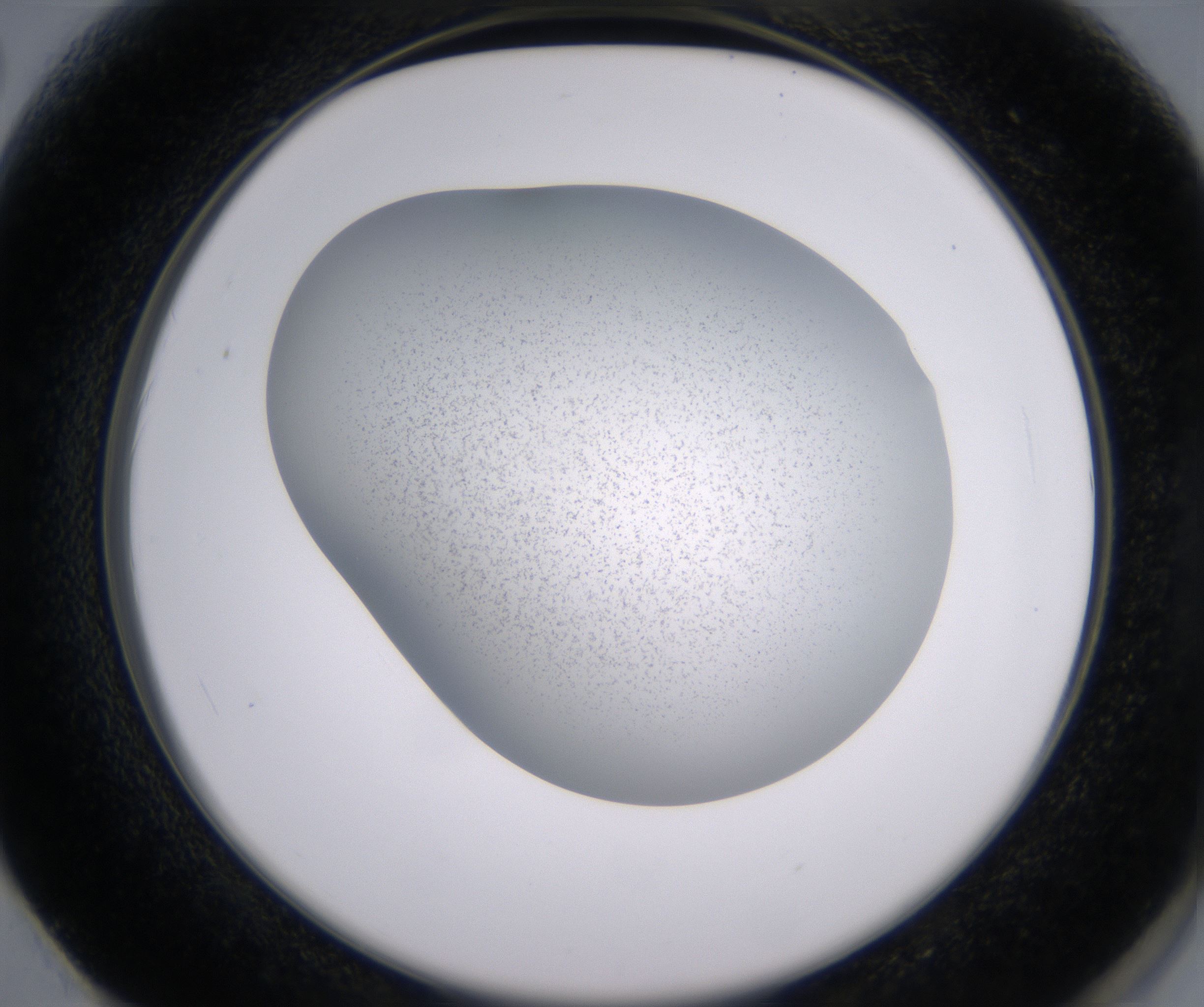 F2_HighResolution_Precipitate_2.jpg