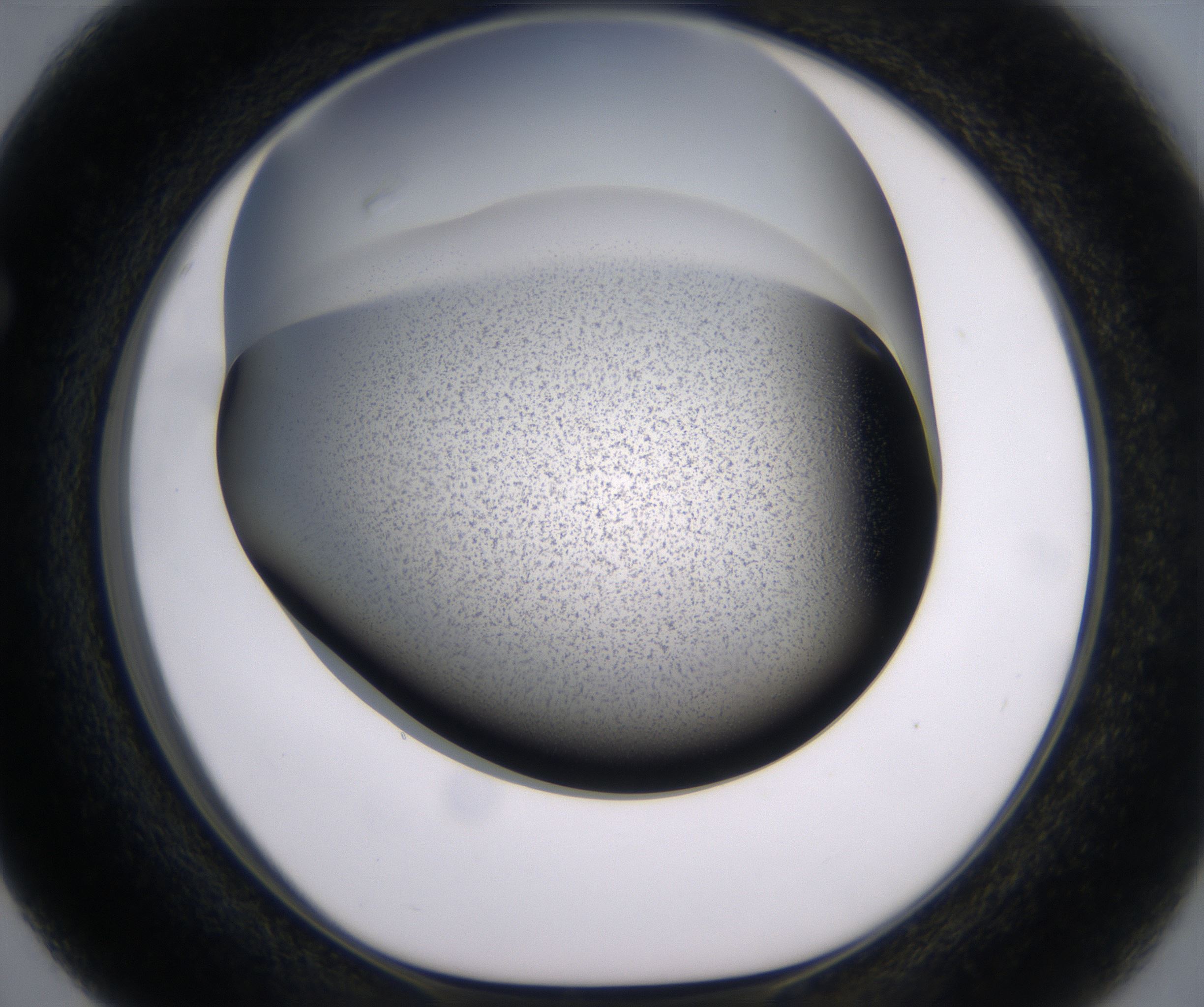 F3_HighResolution_Precipitate_1.jpg