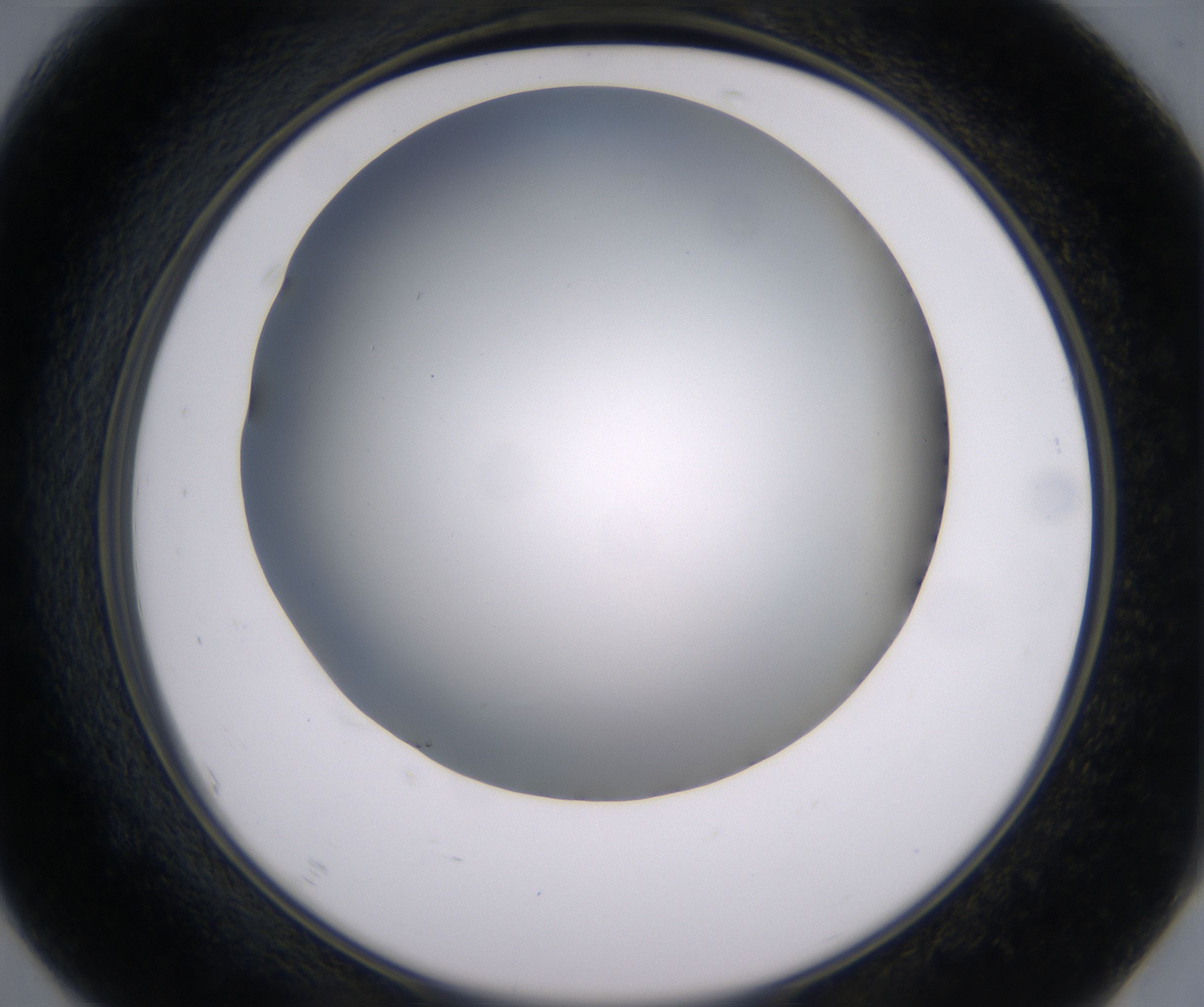 F7_HighResolution_Clear_2.jpg