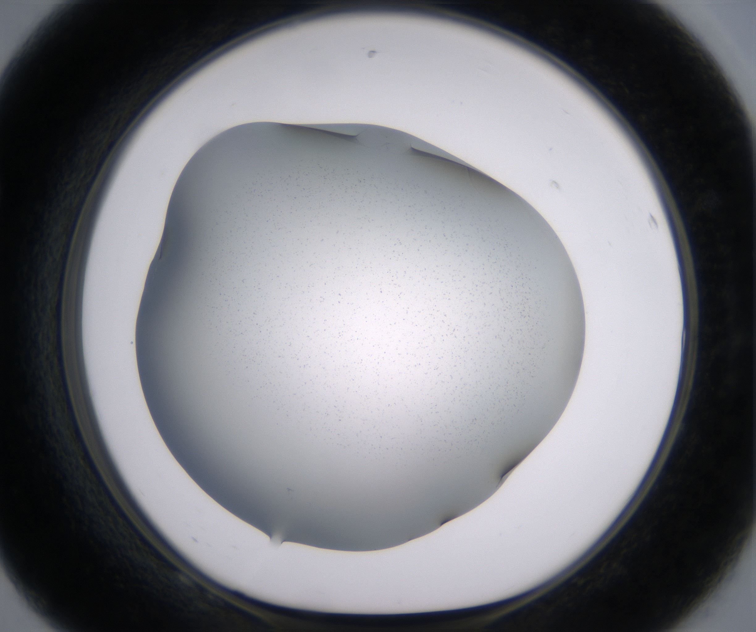F8_HighResolution_Clear_1.jpg