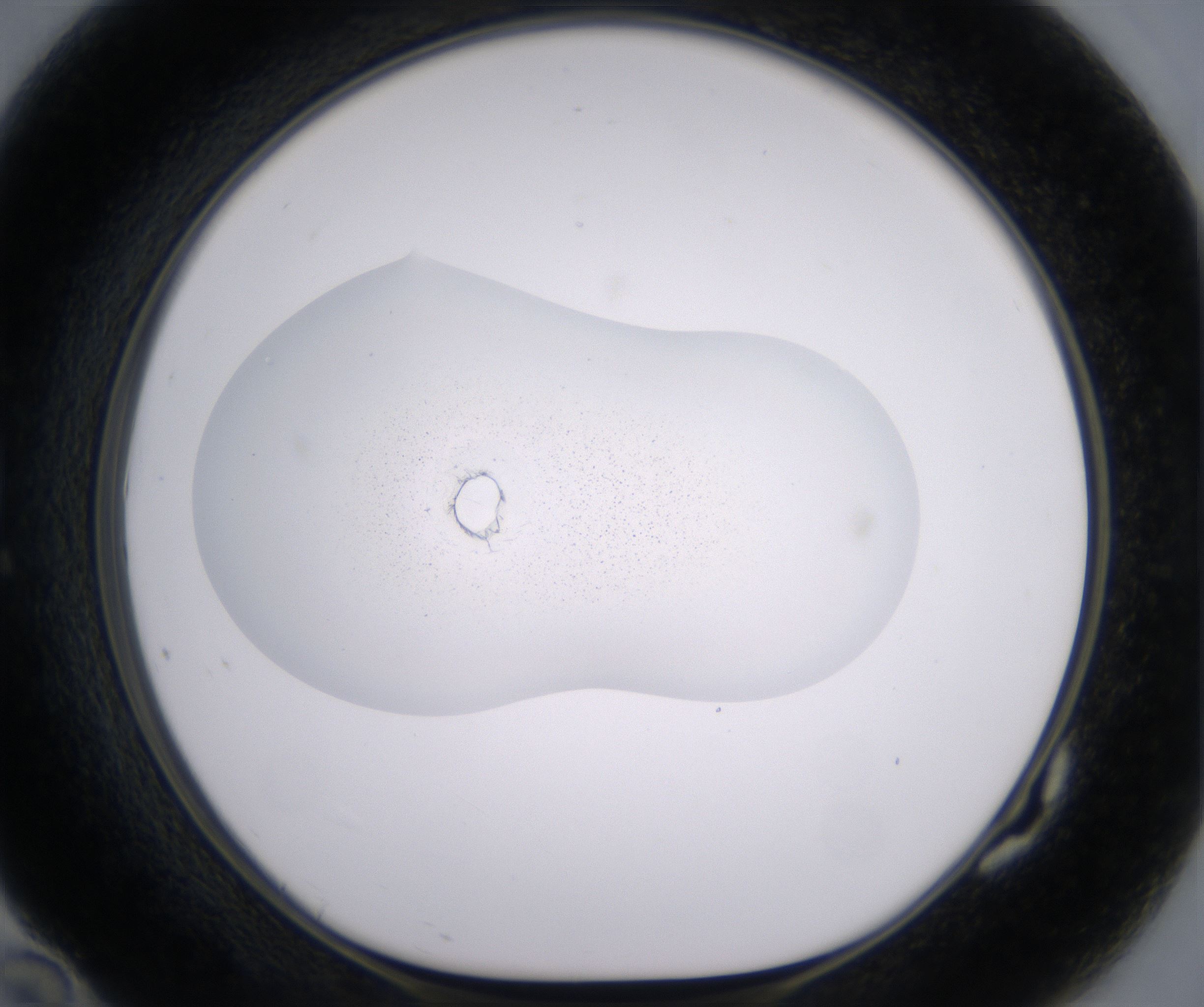 G10_HighResolution_Precipitate_1.jpg